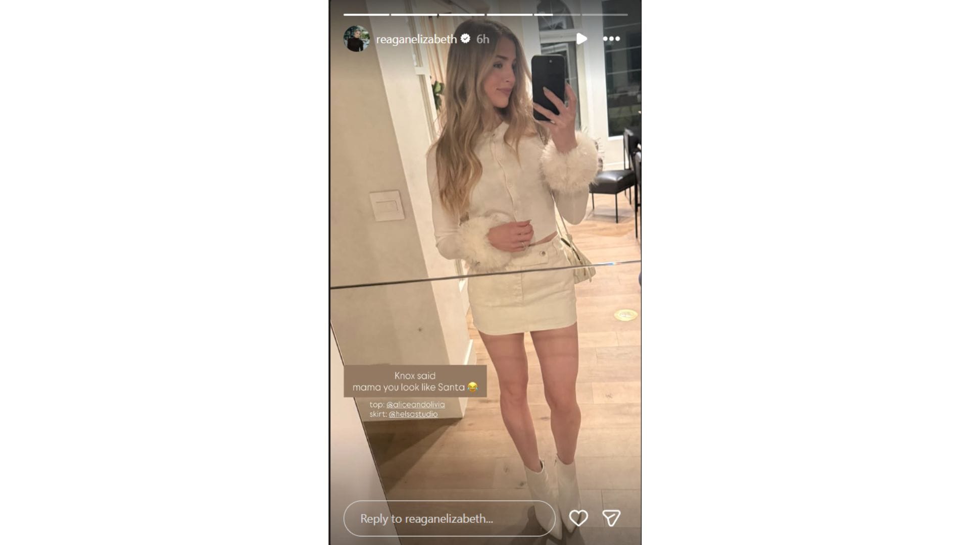 Reagan Bregman's Instagram Story (Source: Instagram @reaganelizabeth)