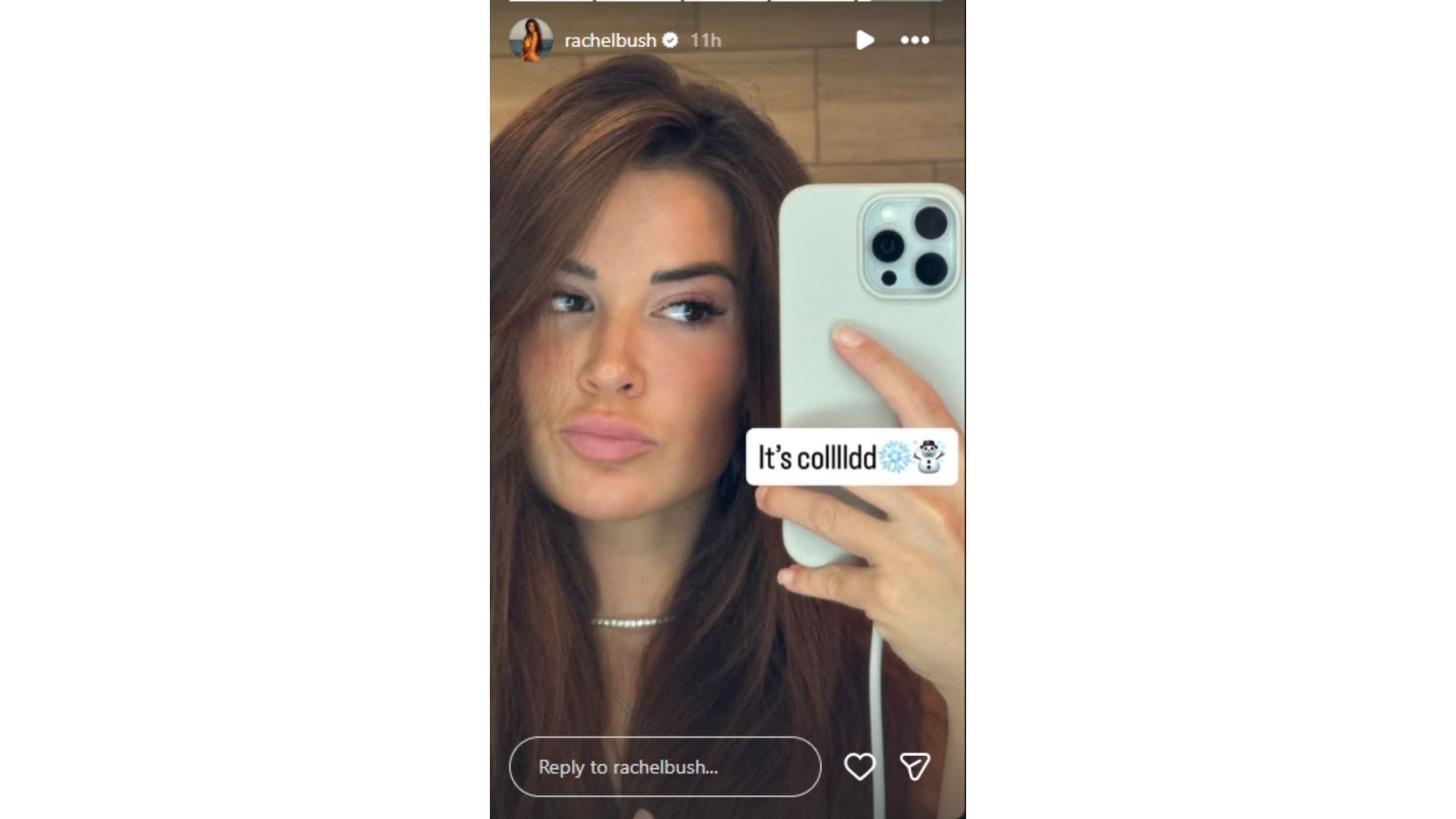 Bushová potom zdieľala svoju aktuálnu fotografiu. (Kredit: @rachelbush)