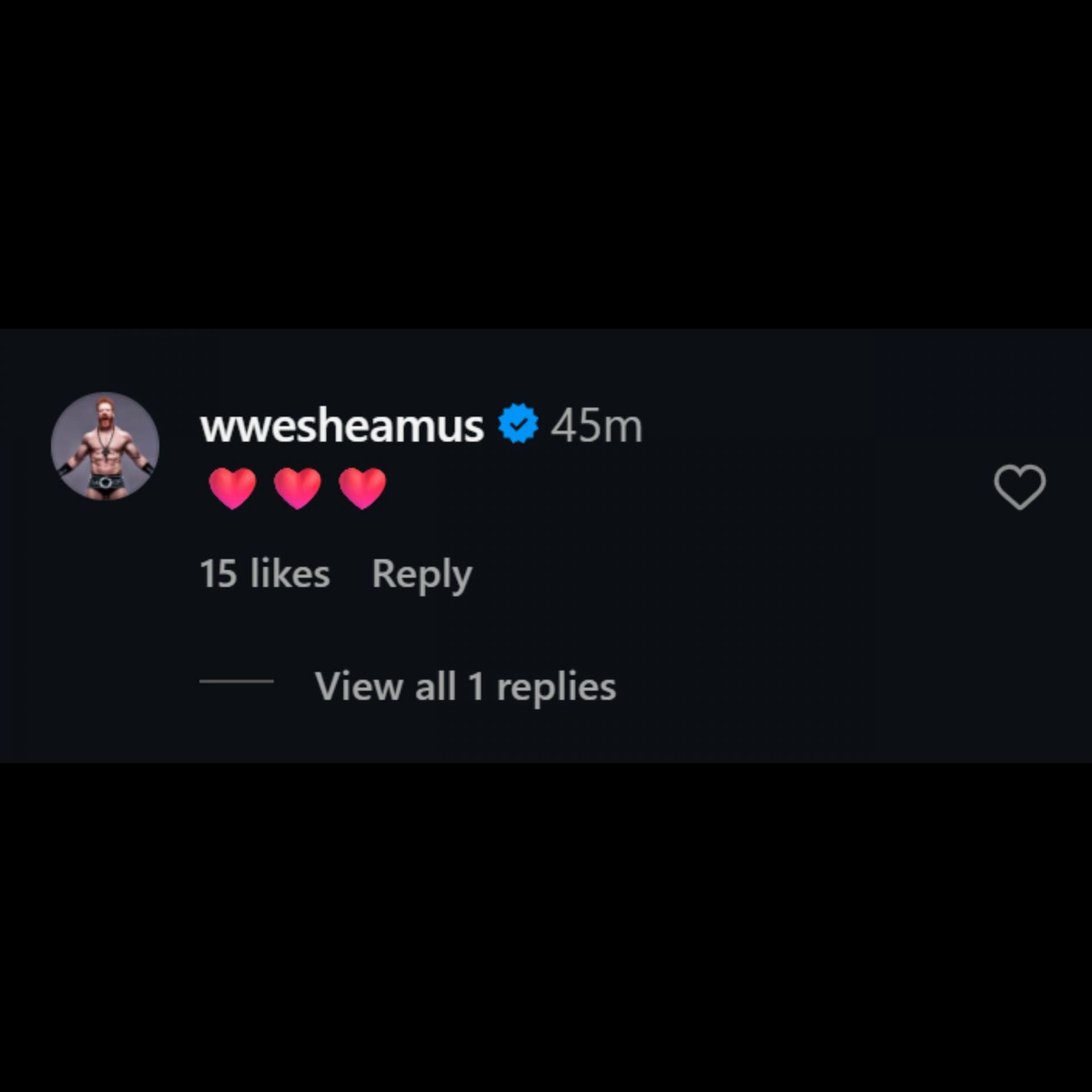 Sheamus commented on his wife’s post (screenshot via @isabella.revilla on Instagram)