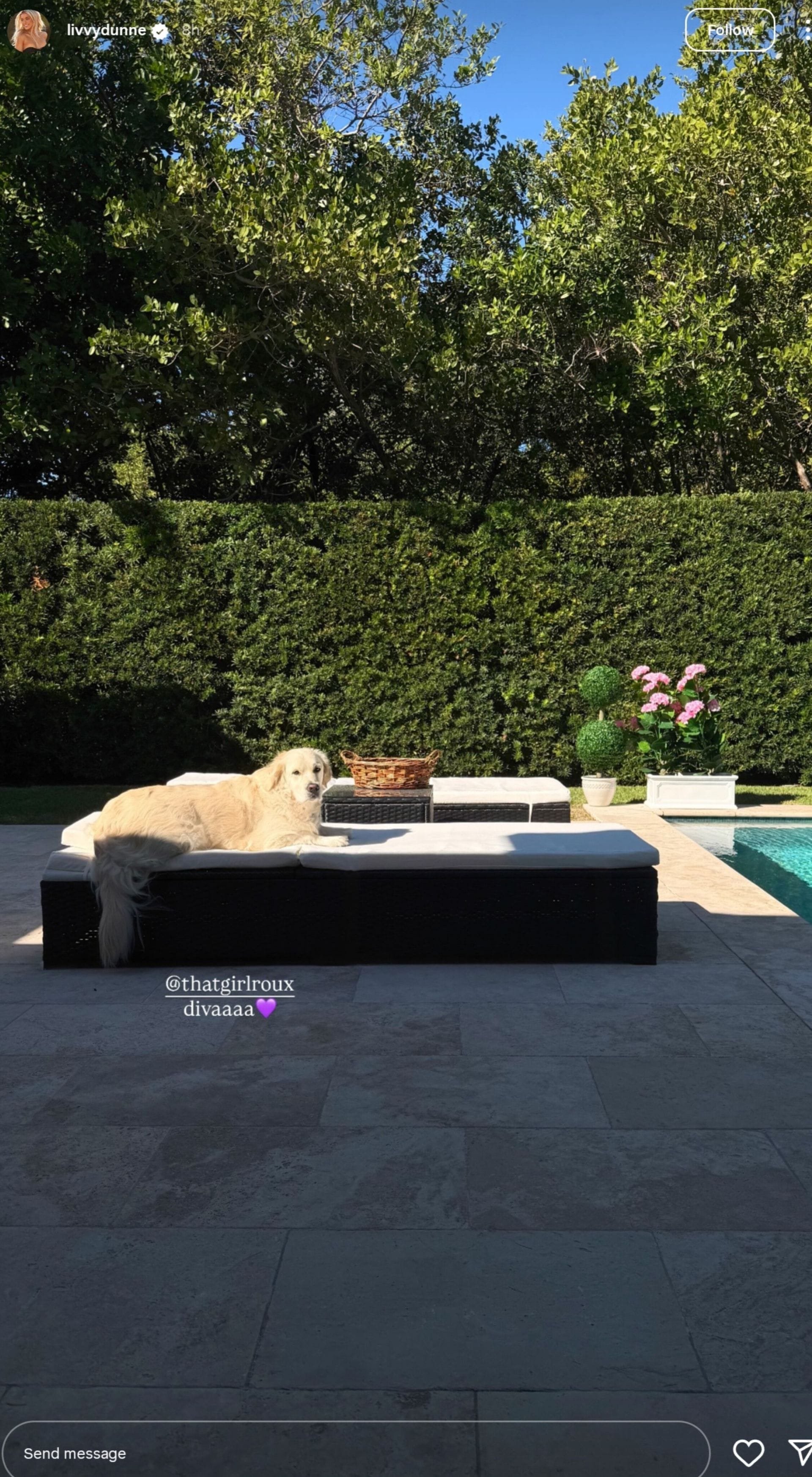 (Image source - Olivia Dunne Instagram)
