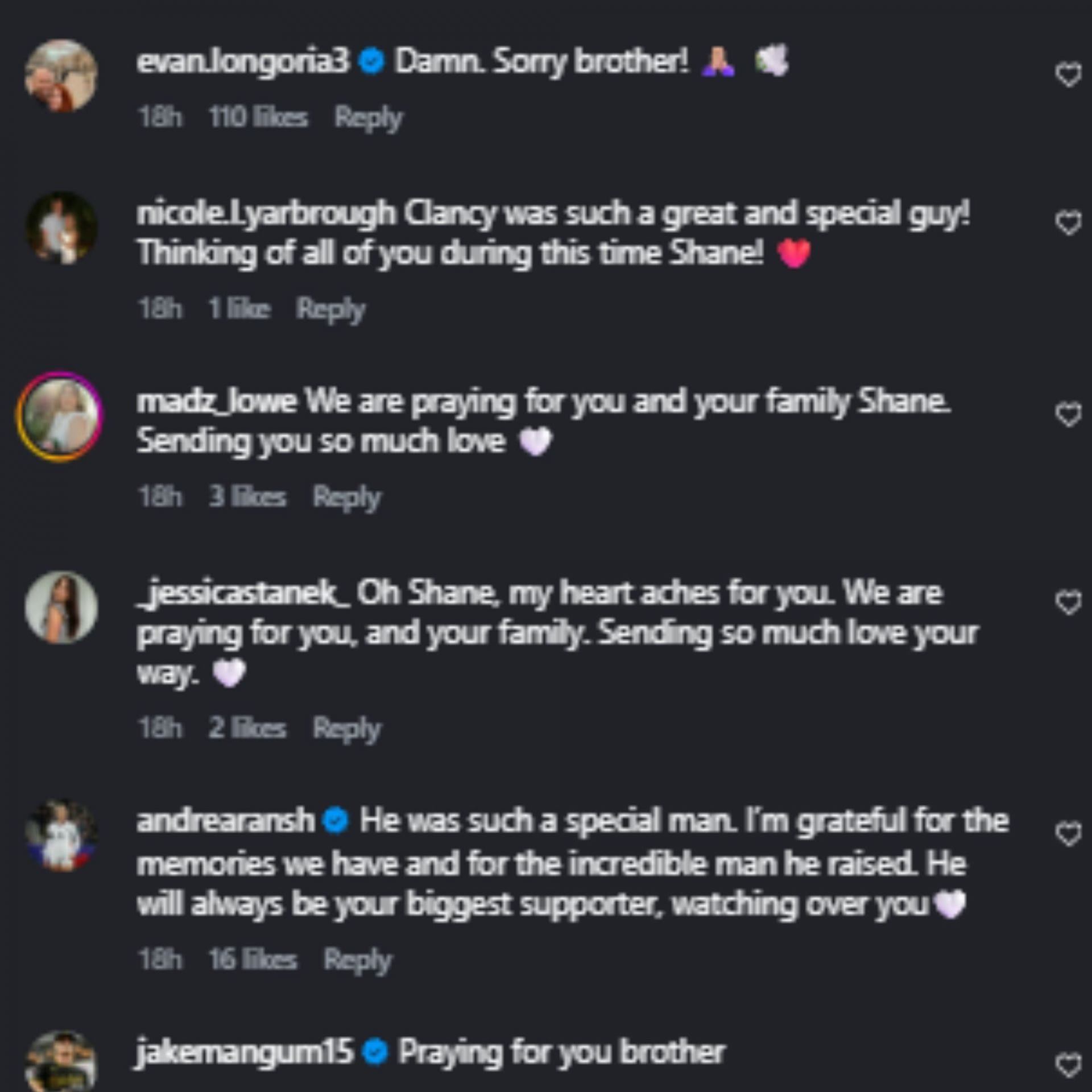 Snímka obrazovky komentárov (zdroj obrázka: Instagram/shanemviii)