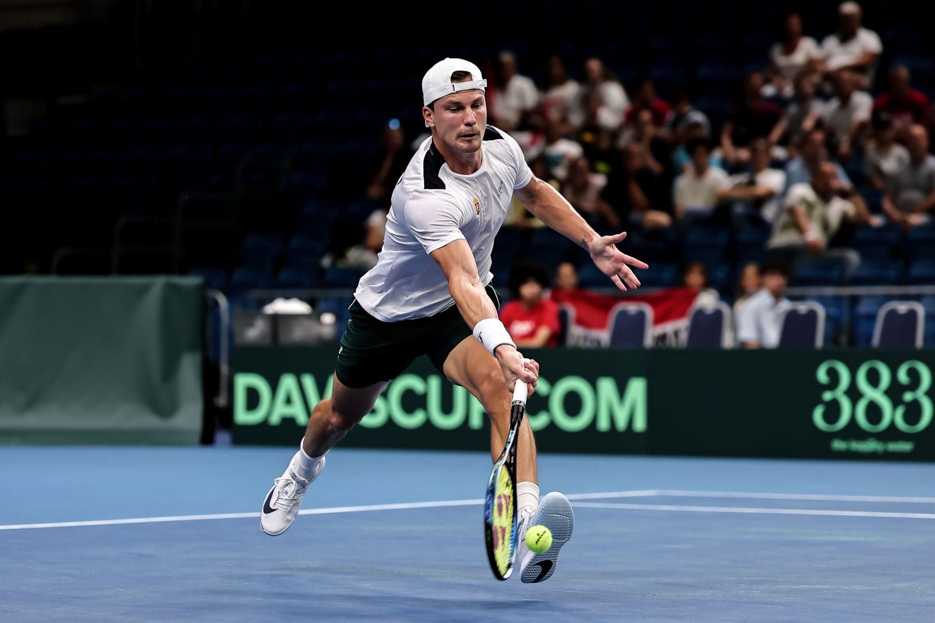 Marton Fucsovics at the Davis Cup Qualifiers 2025. (Photo: Getty)