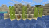 Use sugar cane to make paper (Image via Mojang)