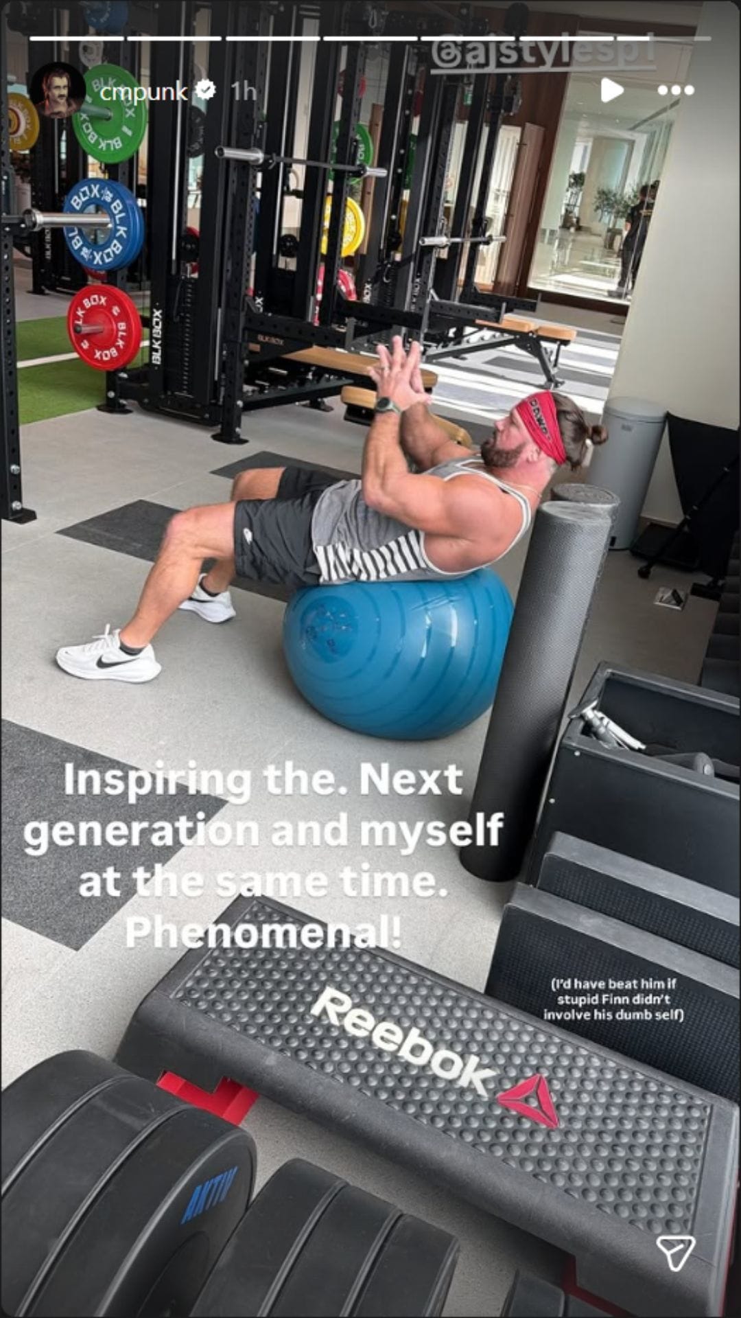 CM Punk's IG story (Source: Screenshot of Punk's story)