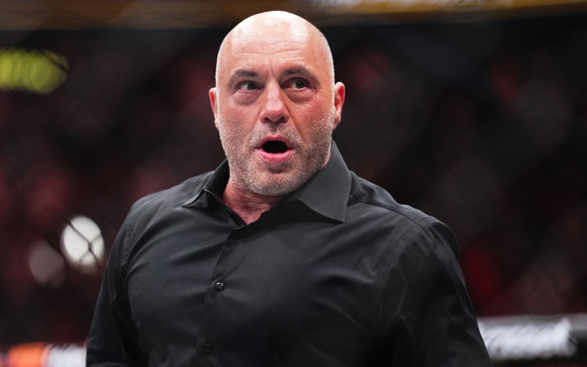 Joe Rogan believes MMA fighters “should be within the UFC” in the event that they wish to be the perfect within the enterprise Joe Rogan believes MMA fighters “should be within the UFC” in the event that they wish to be the perfect within the enterprise