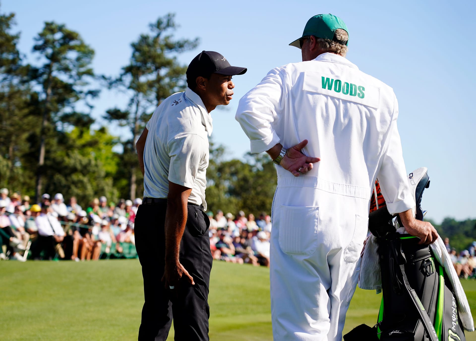 Tiger Woods (Image  Source: Imagn)