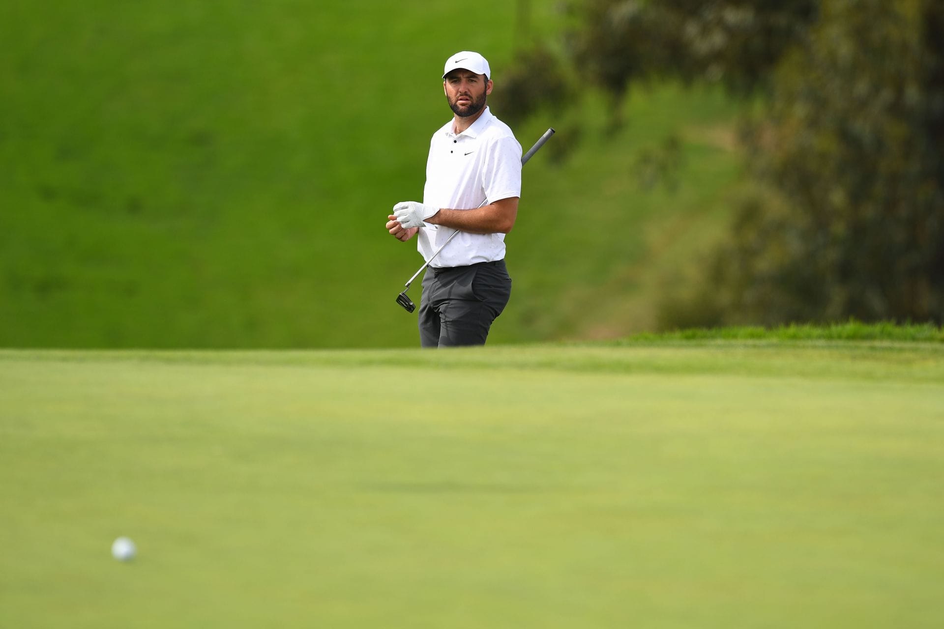 Genesis Invitational 2026 (Image  Source: Getty)