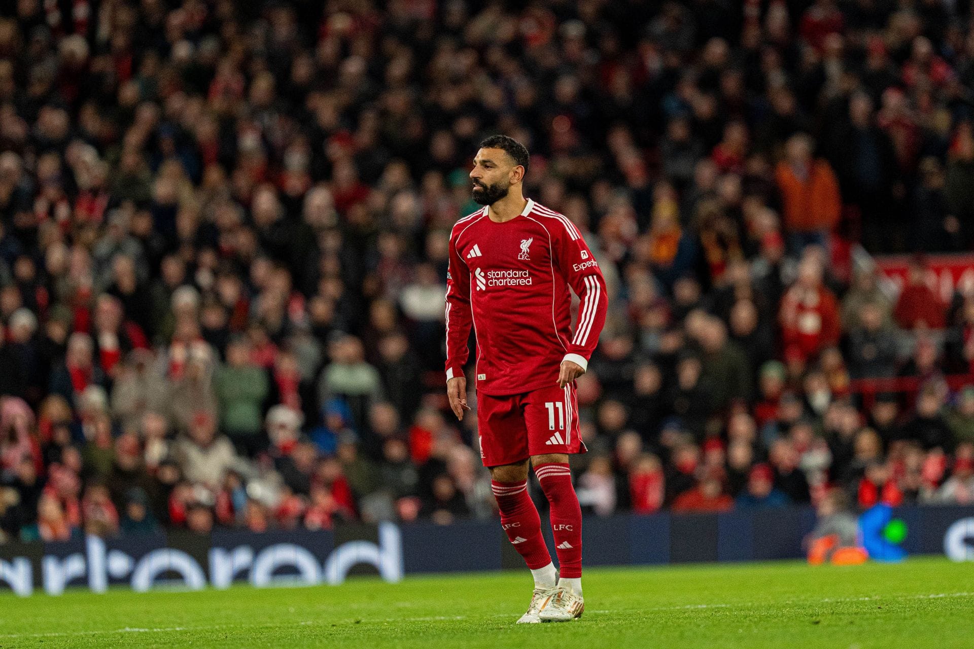 Sunderland vs Liverpool Prediction and Betting Tips | 11th February 2026