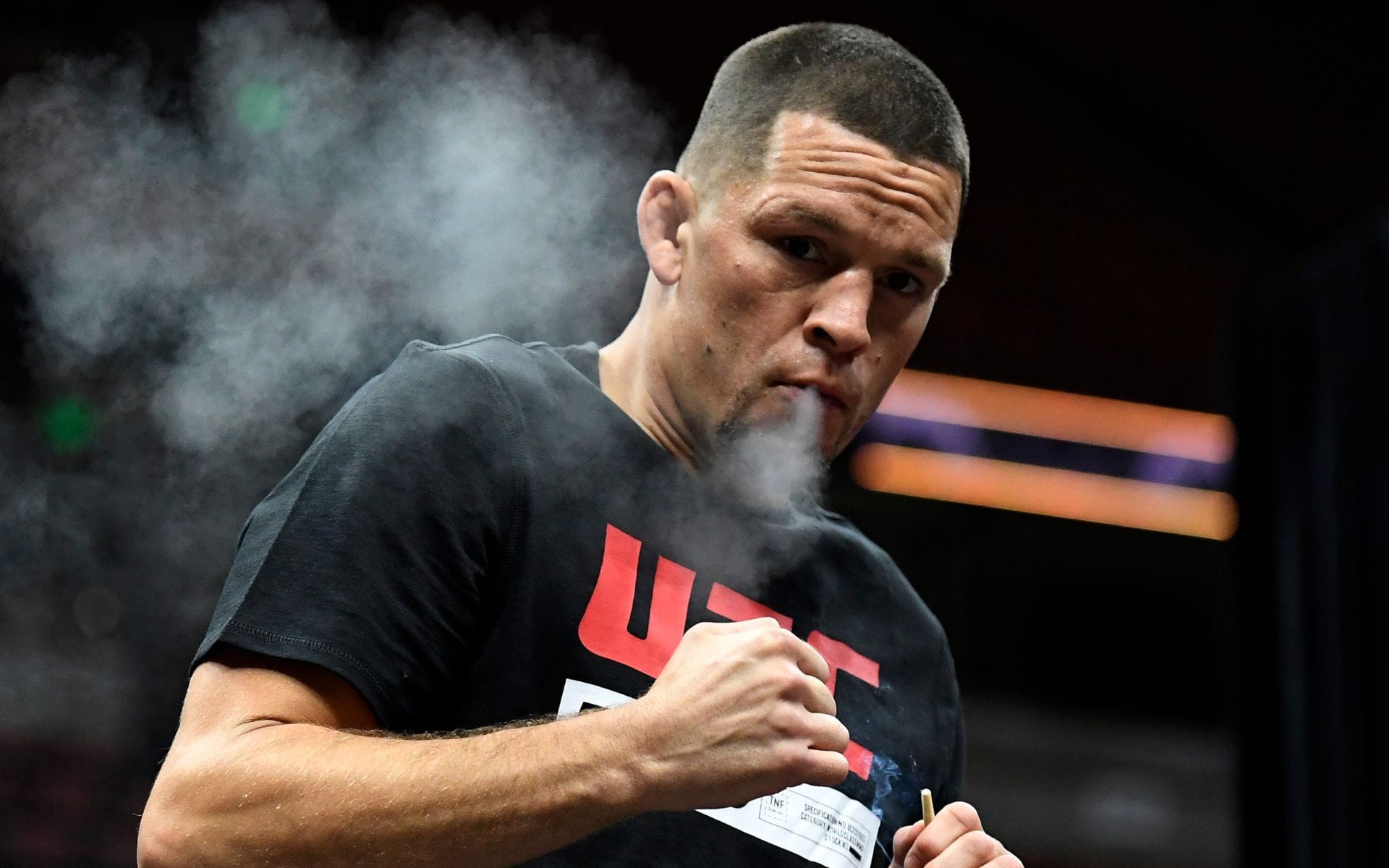 UFC White House: 