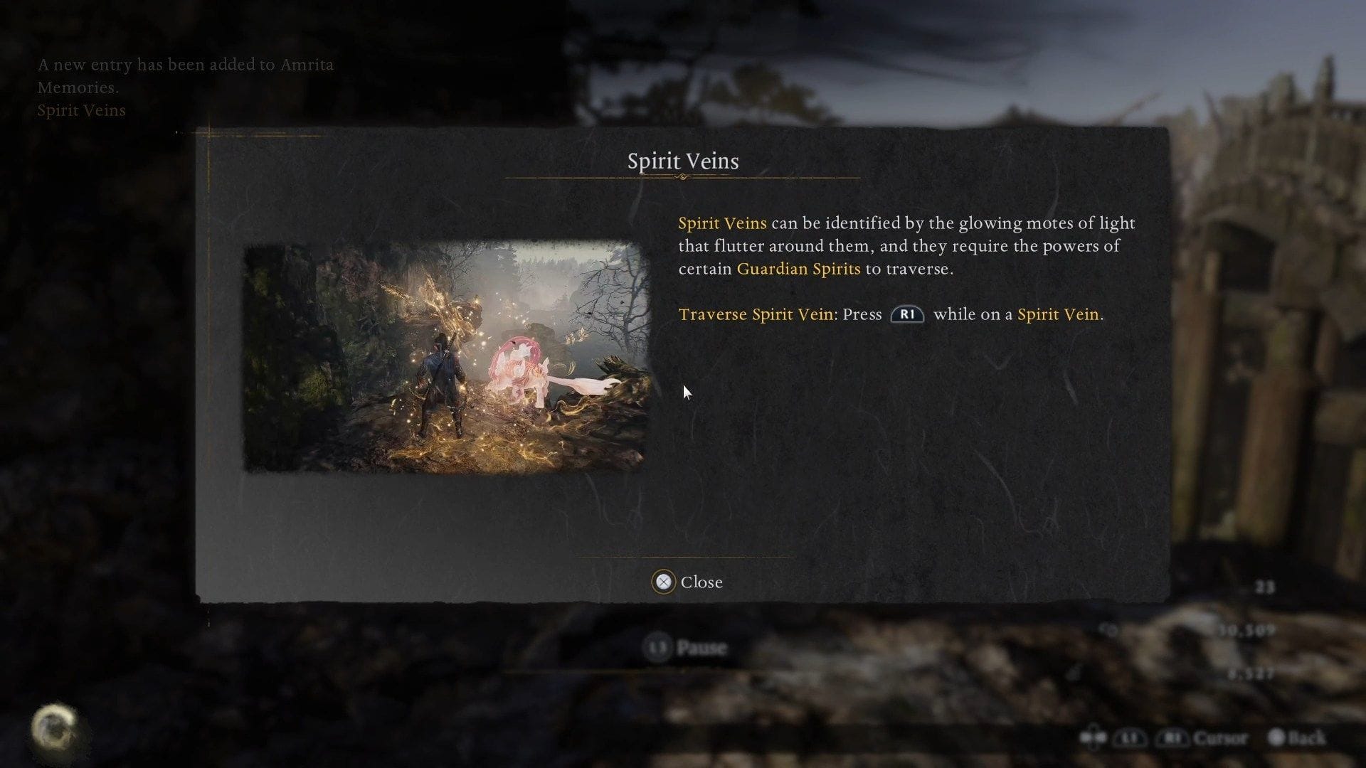 Spirit Veins overview (Image via Koei Tecmo)