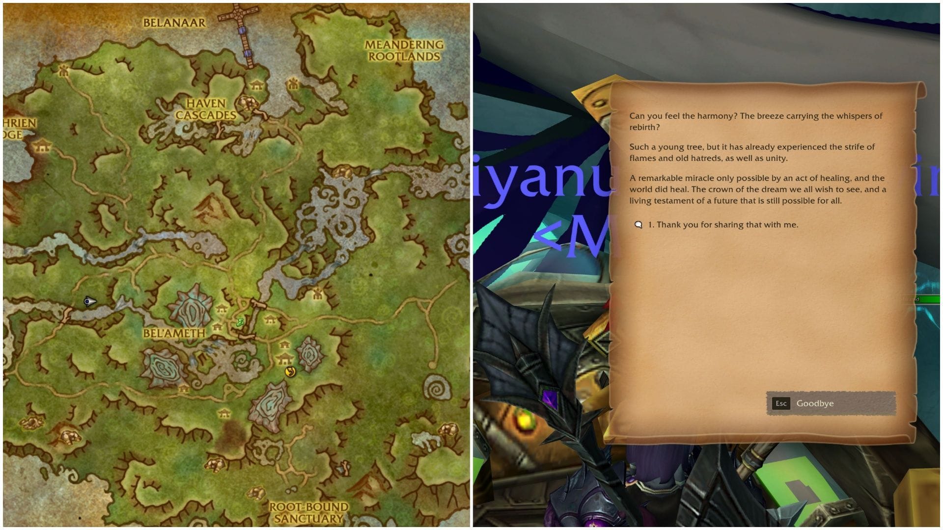 100% you have completed the Emerald Dream storyline or have never been to Dragon Island. Otherwise you might end up on the wrong map (Image via Blizzard Entertainment)