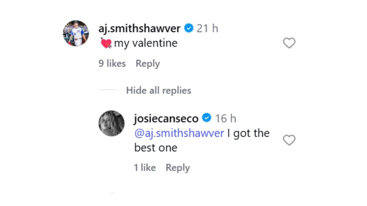 (image credit: instagram/josiecanseco)