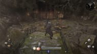 Enter the door across the bridge (Image via Koei Tecmo)