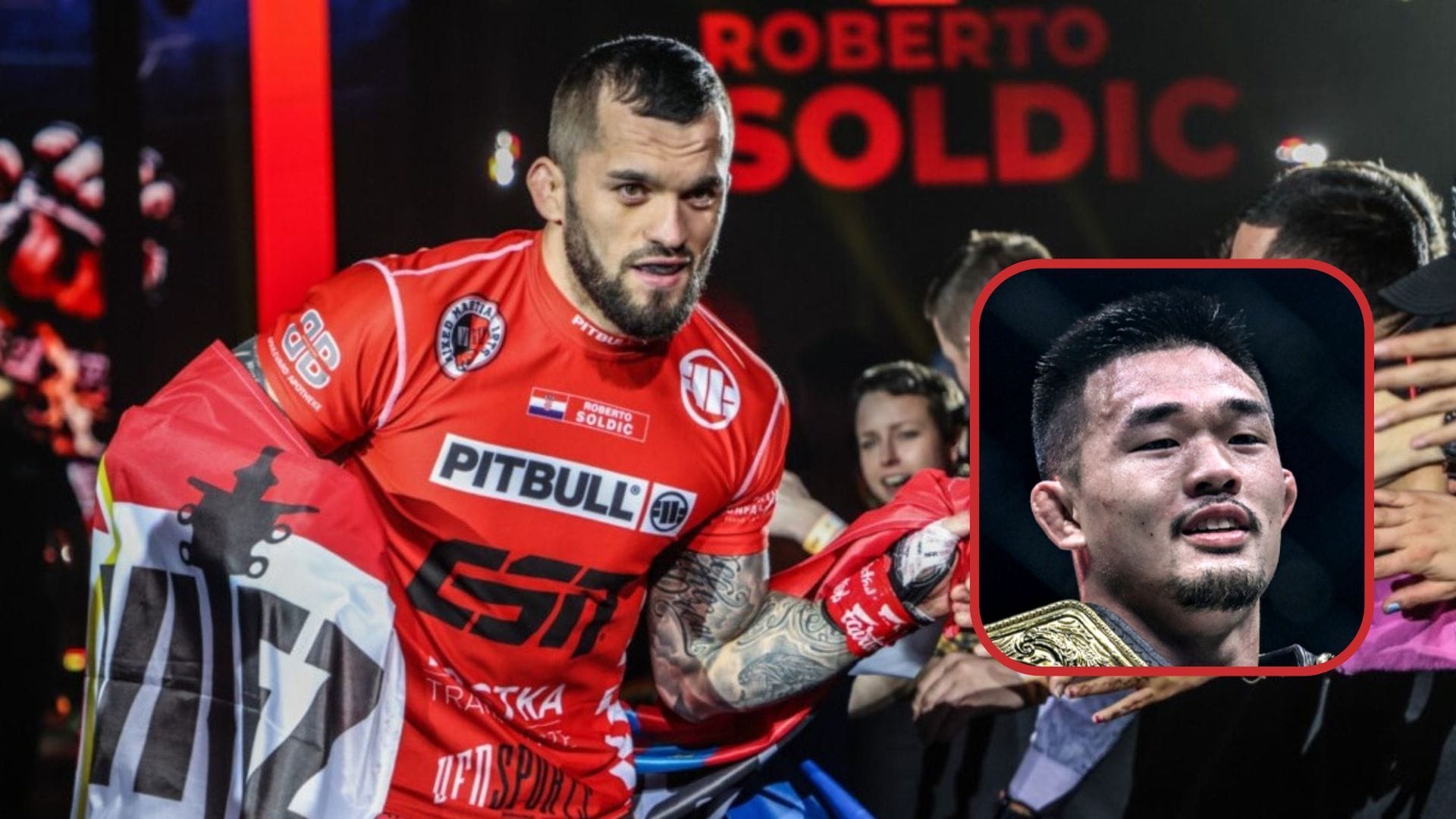 Christian Lee: LOOK: Roberto Soldic calls for Christian Lee world title ...