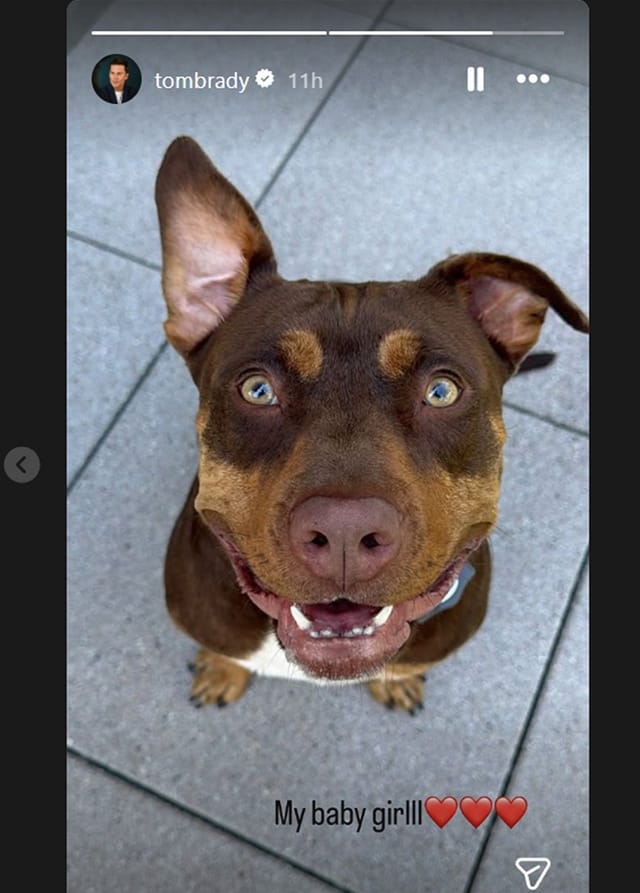 Tom Brady swoons over his 