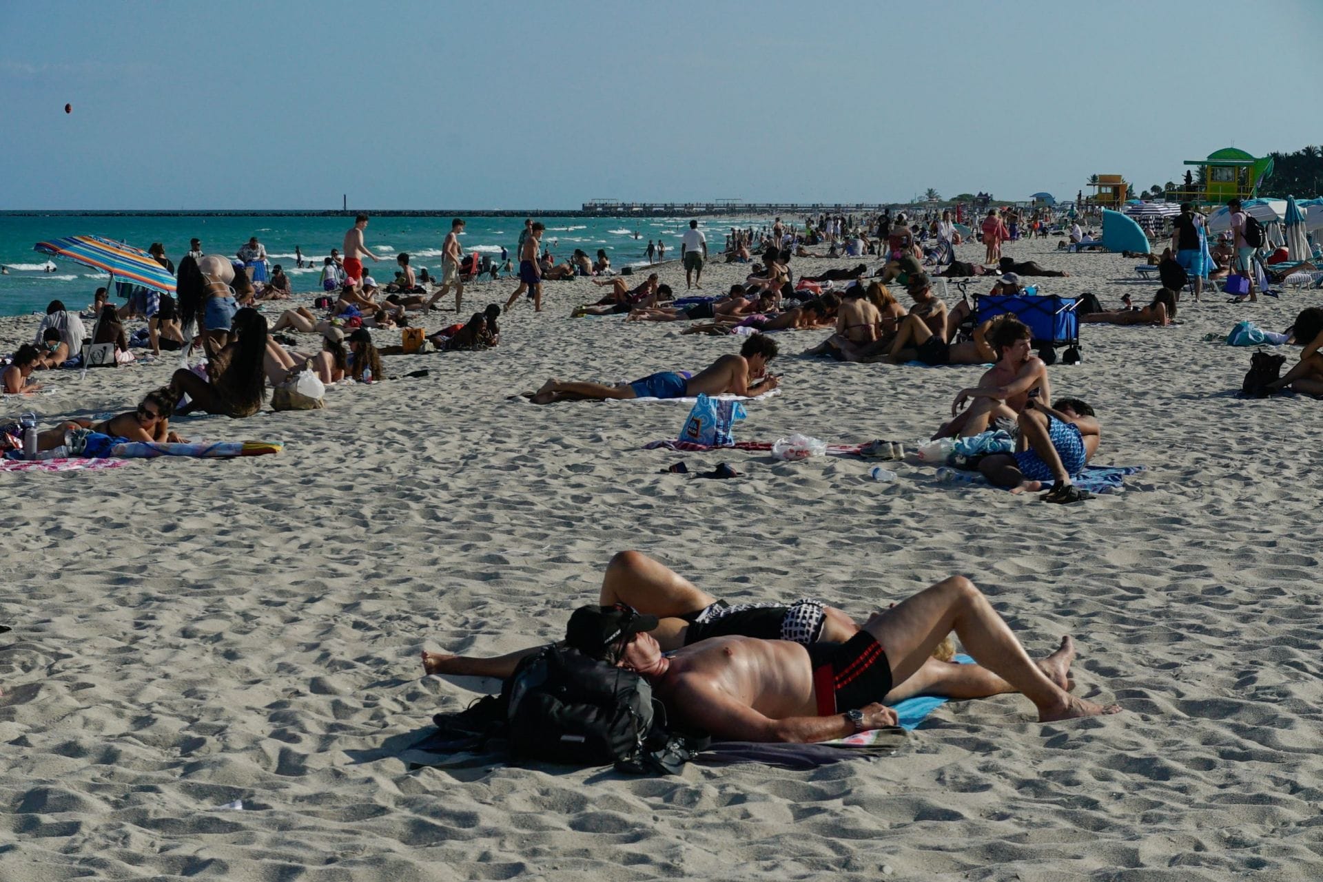 "19 year olds are stupid": Matt Walsh calls to raise voting age to 25 after viral video shows teens unaware of current affairs