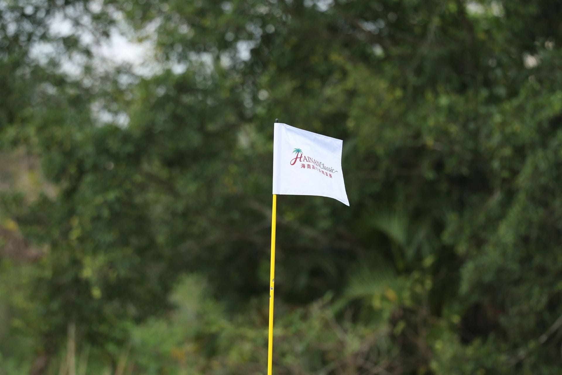 Hainan Classic 2026 Prize Money Payout: How Much Did Jordan Gumberg & Other Golfers Win From the $2.55 Million Purse?