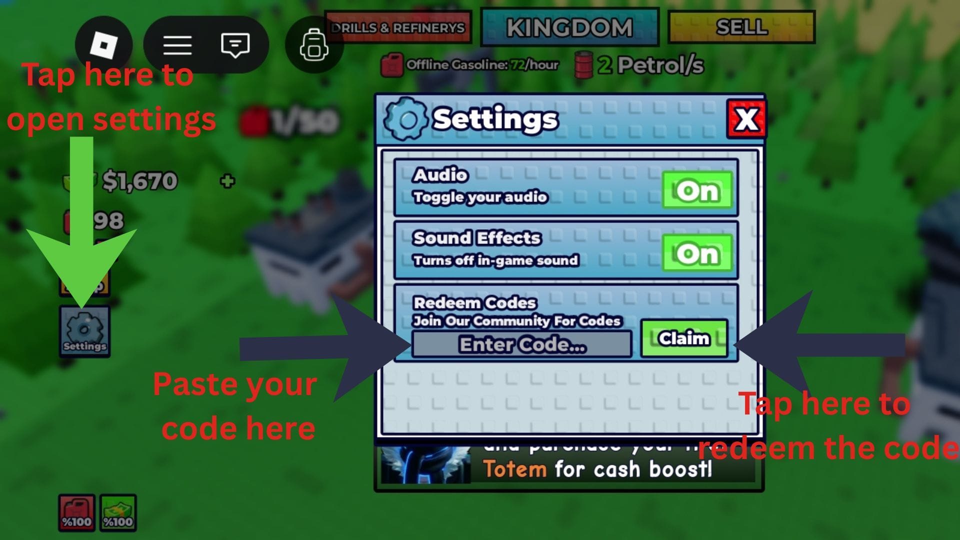 Steps to redeem codes (Image via Roblox)