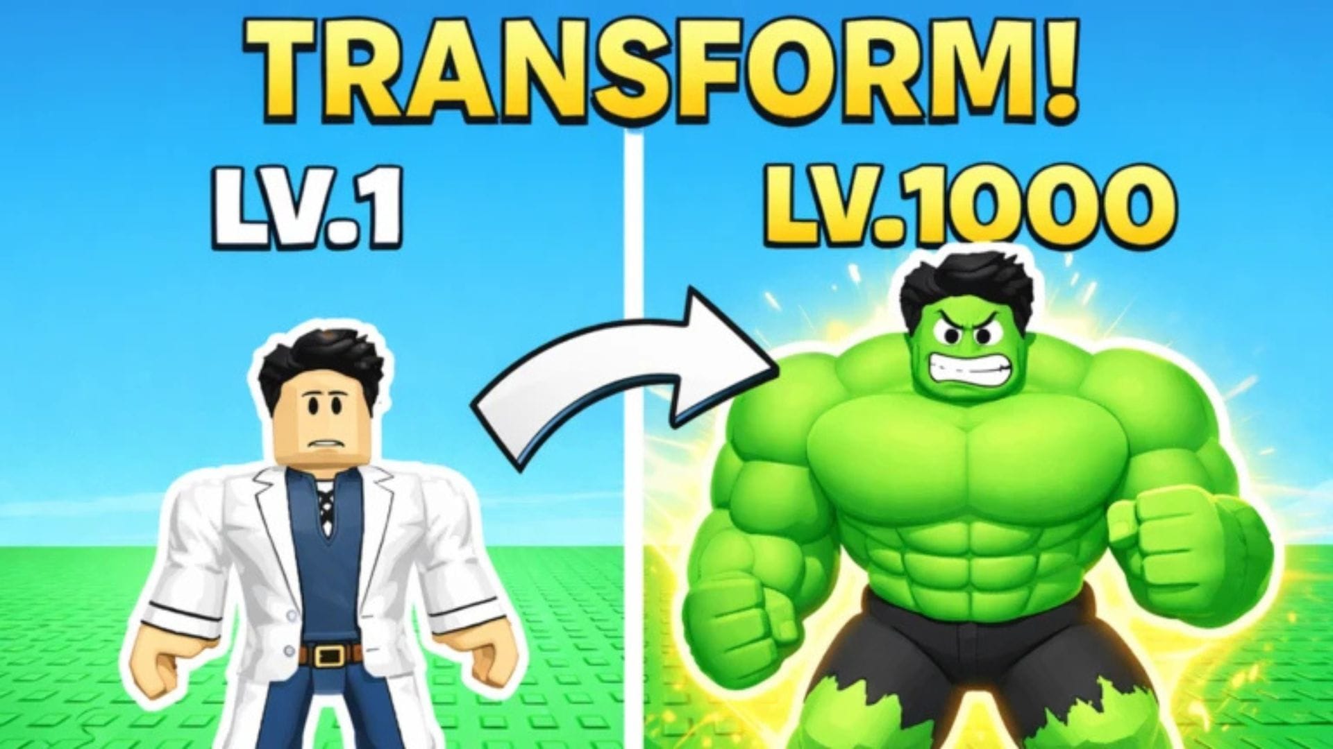 Muscle Transform Simulator codes (March 2026)