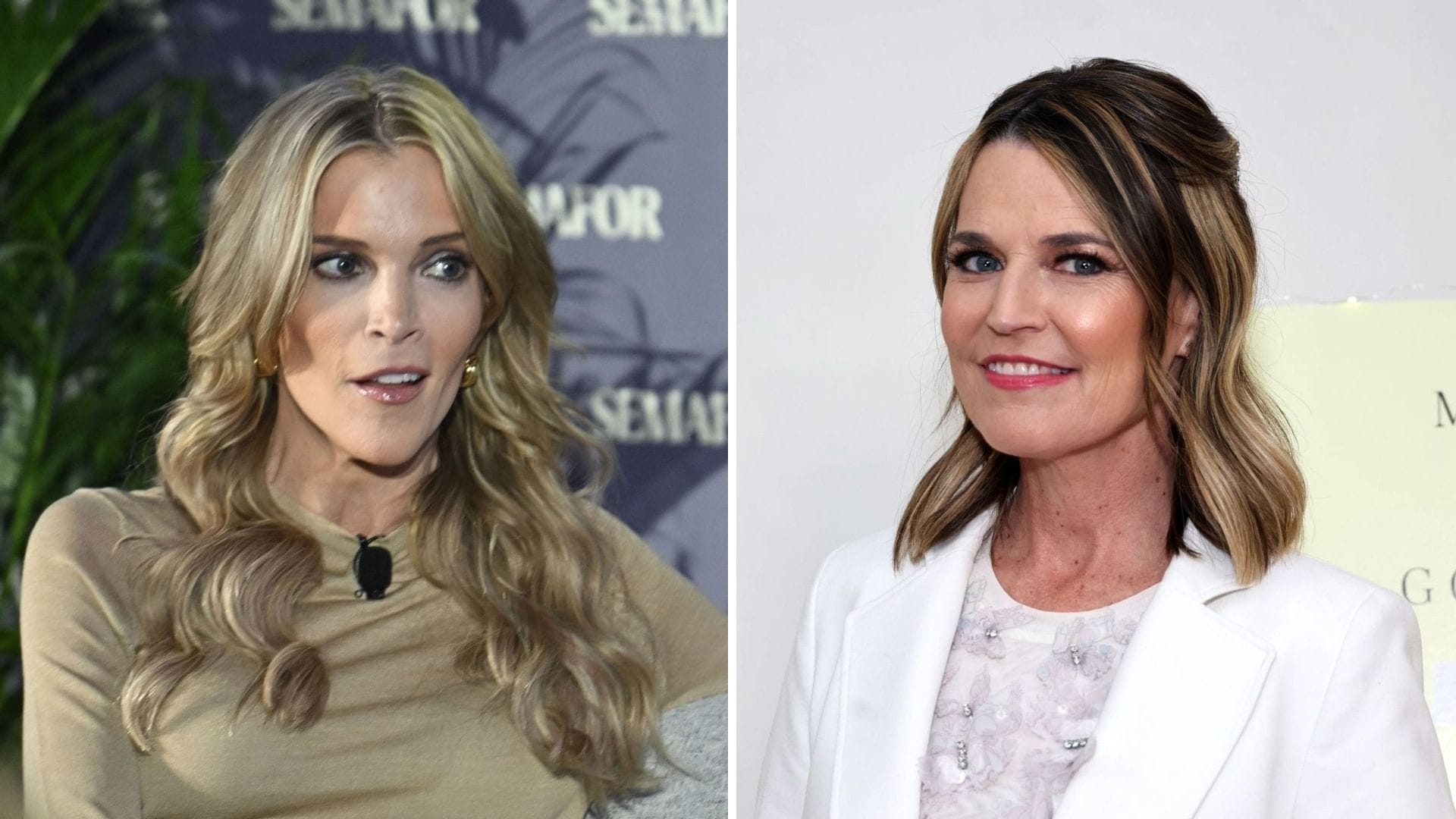 "Then why didn't you pay": Megyn Kelly reacts after Savannah Guthrie claims she believed two ransom notes were real in Nancy Guthrie Case