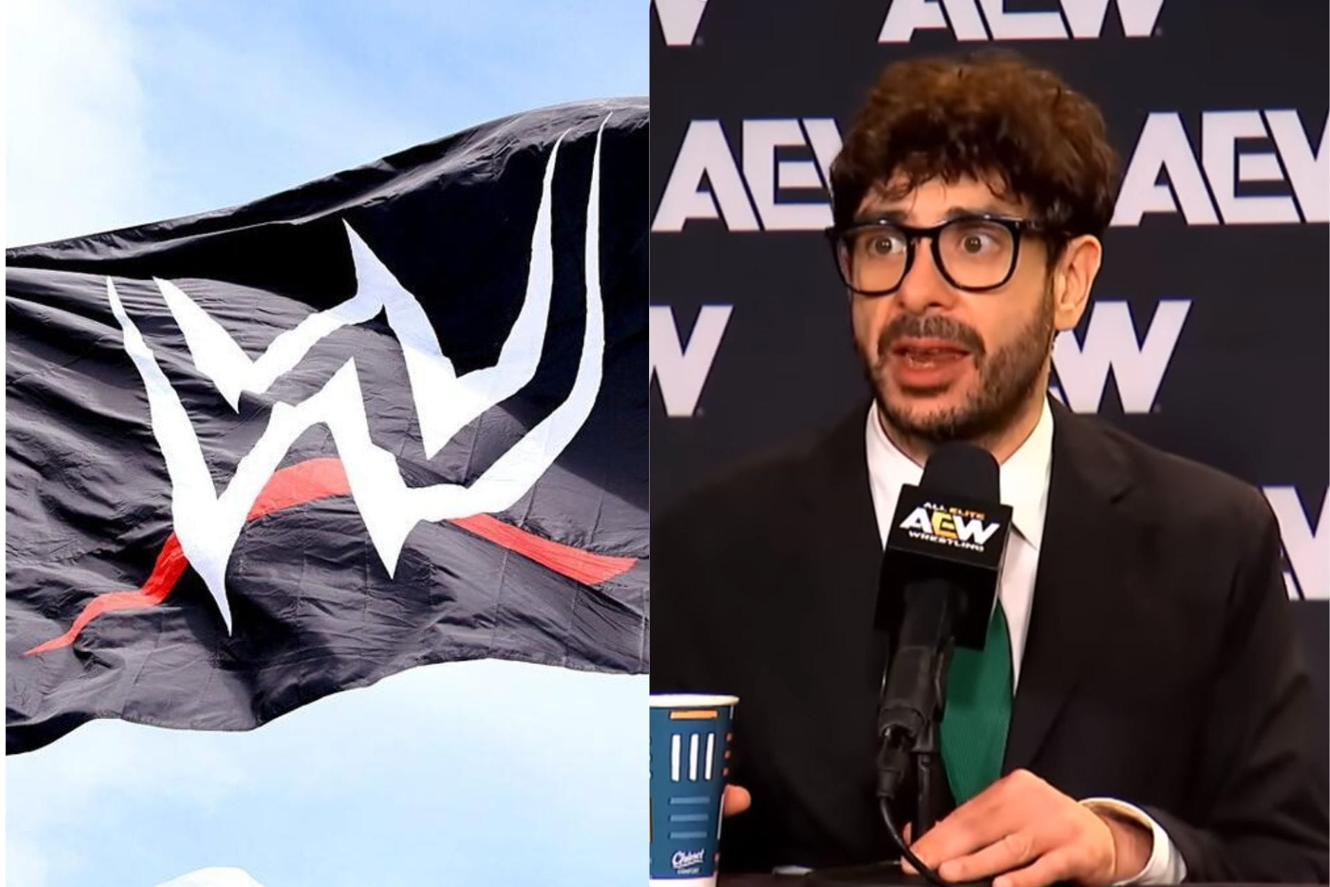 Former WWE Star Seemingly Erased From AEW After Title Loss & Controversy