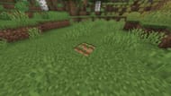 Adjacent blocks should also be farmland to further increase growth times (Image via Mojang Studios || Sportskeeda)