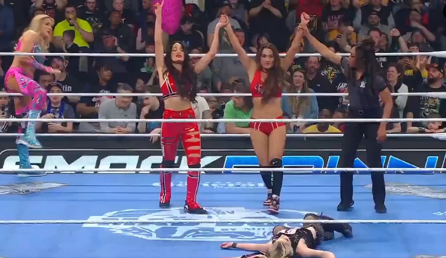 5 New WWE partners for Brie Bella if Nikki Bella is unable to compete at WrestleMania 42