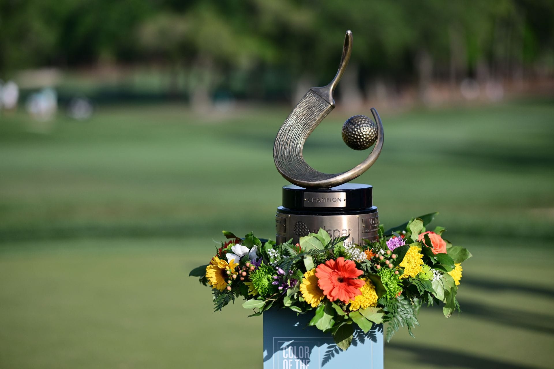 Valspar Championship - Final Round - Source: Getty