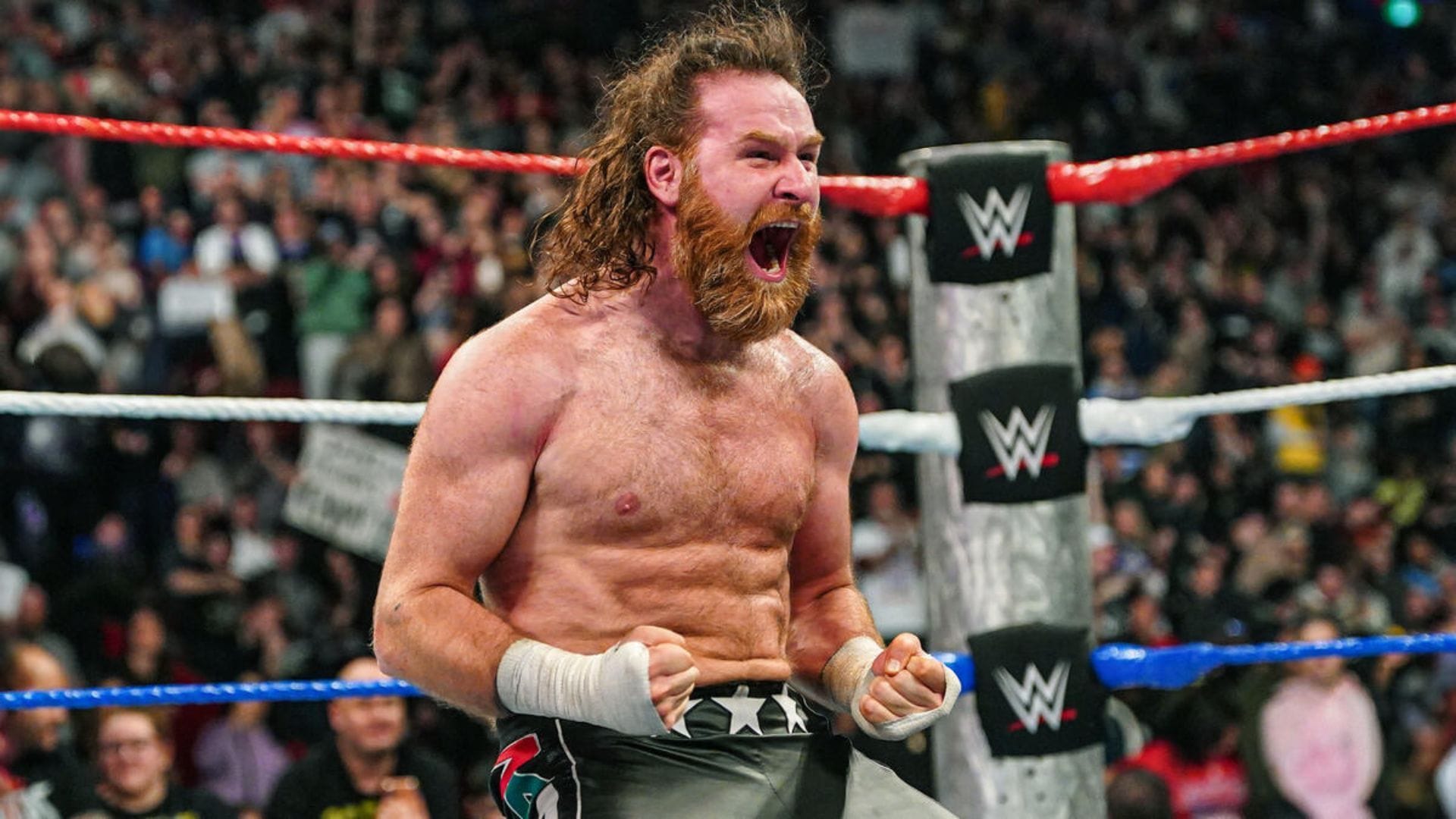 Sami Zayn shares a message aimed at top WWE Superstar after another loss on SmackDown