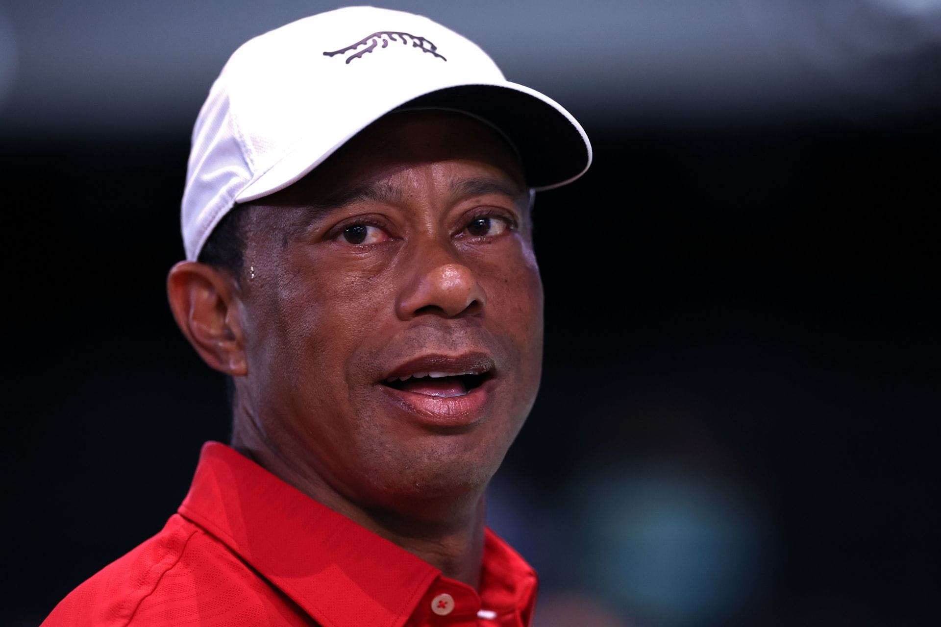 Why was Tiger Woods arrested? Full events timeline explored