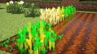 Crop growth times massively vary depending on farming layouts and hydration (Image via Mojang Studios || Sportskeeda)