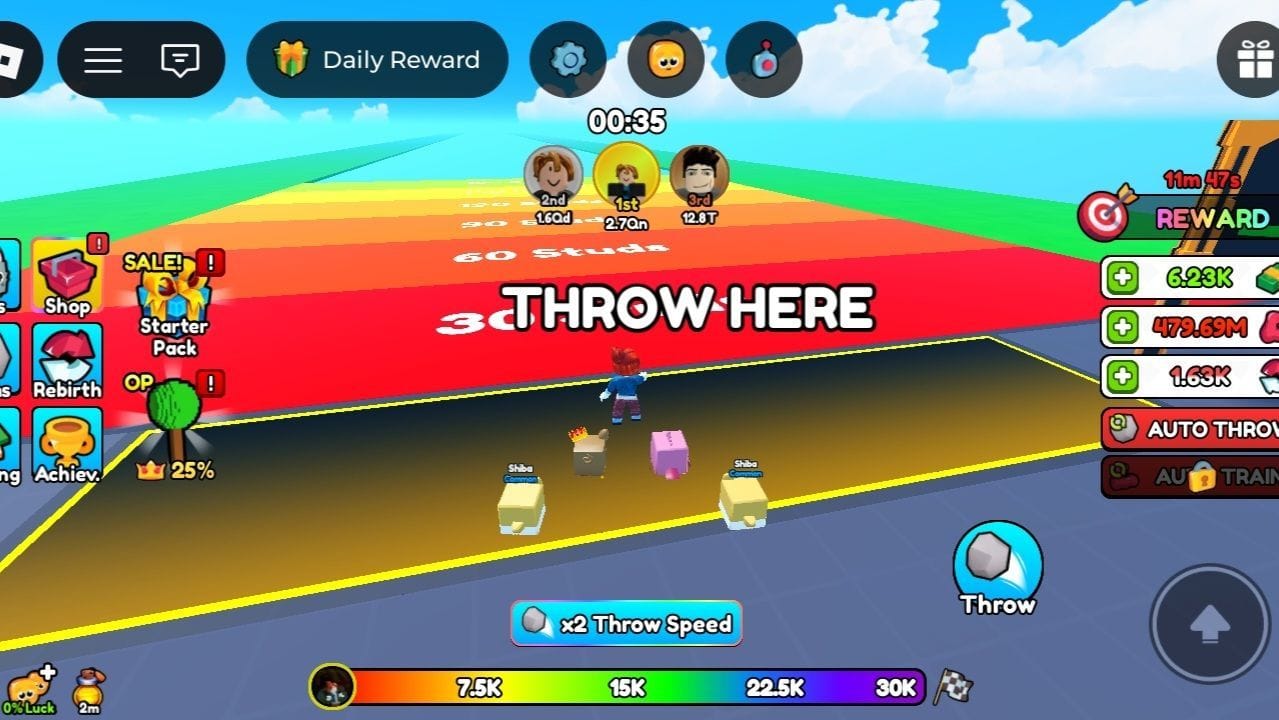 Throwing area (Image via Roblox)