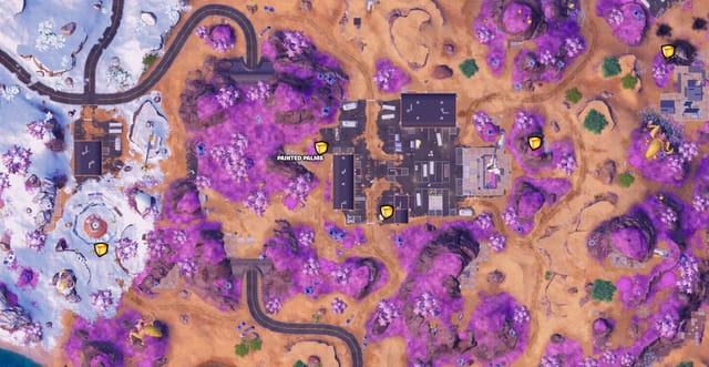 Palmeiras Pintadas (Imagem via Epic Games || Fortnite.gg)