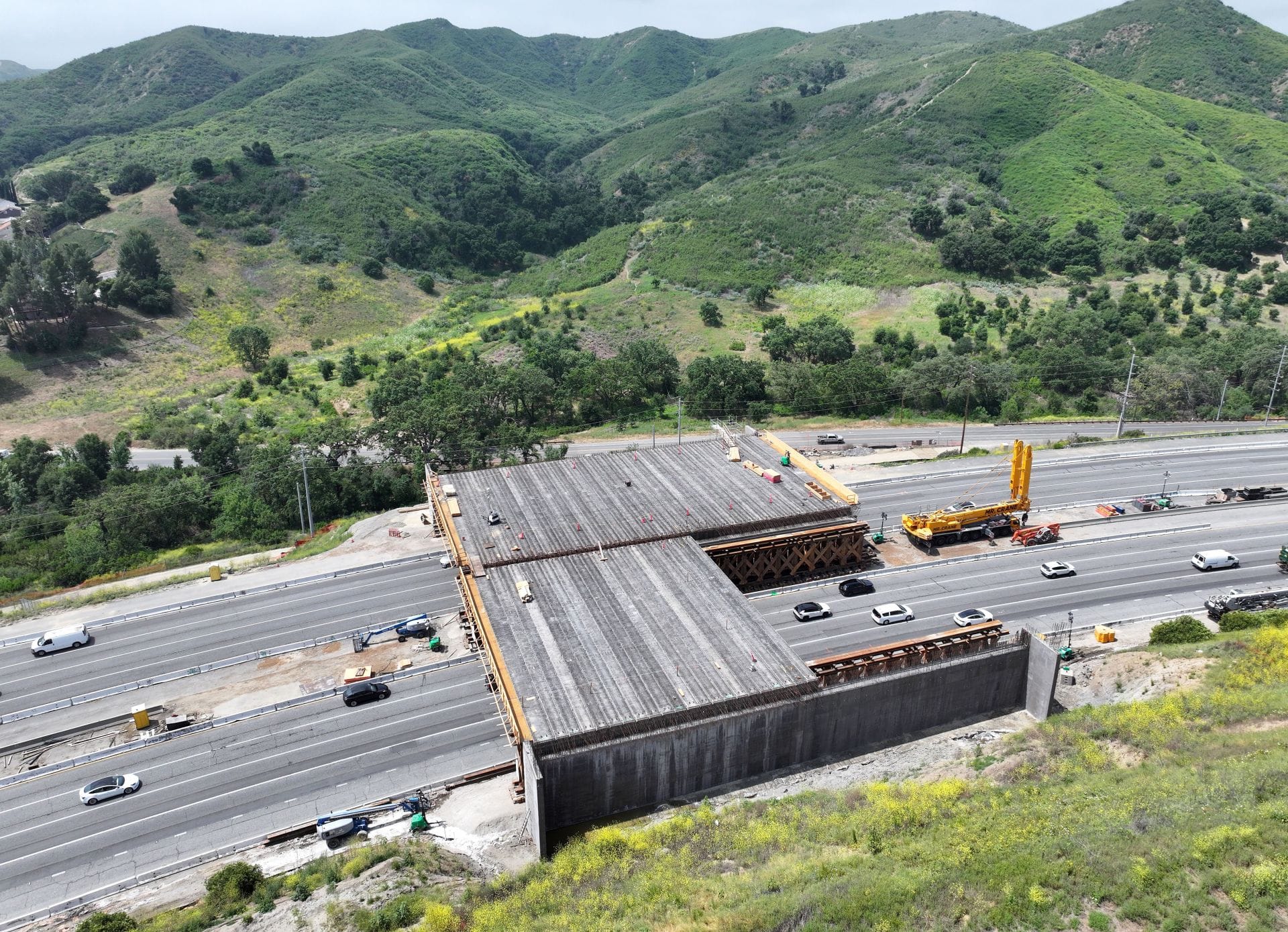 Was California's most expensive bridge created for mountain lions? Joseph Kahn says "California empathy" equals to "California stupid" 