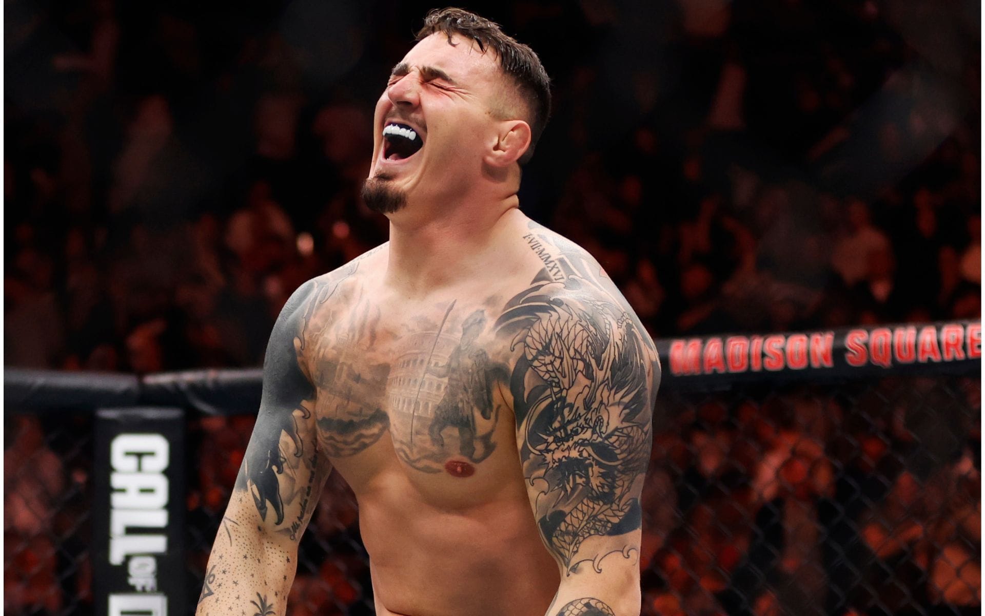 "Losing them is devastating" - Fans react as Tom Aspinall mourns heartbreaking loss of his dog