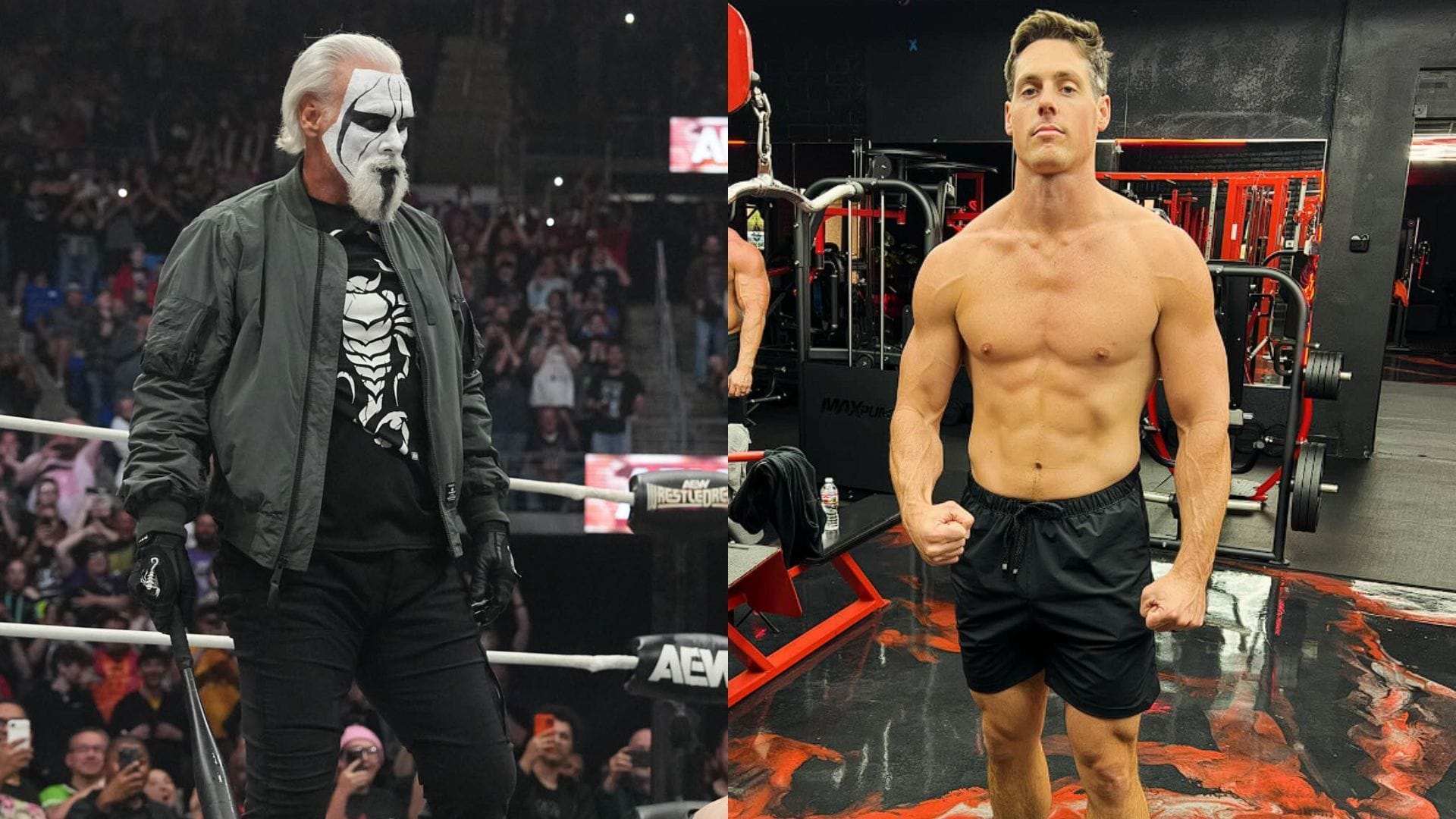 Sting's son, Steven Borden, makes shocking debut for major promotion