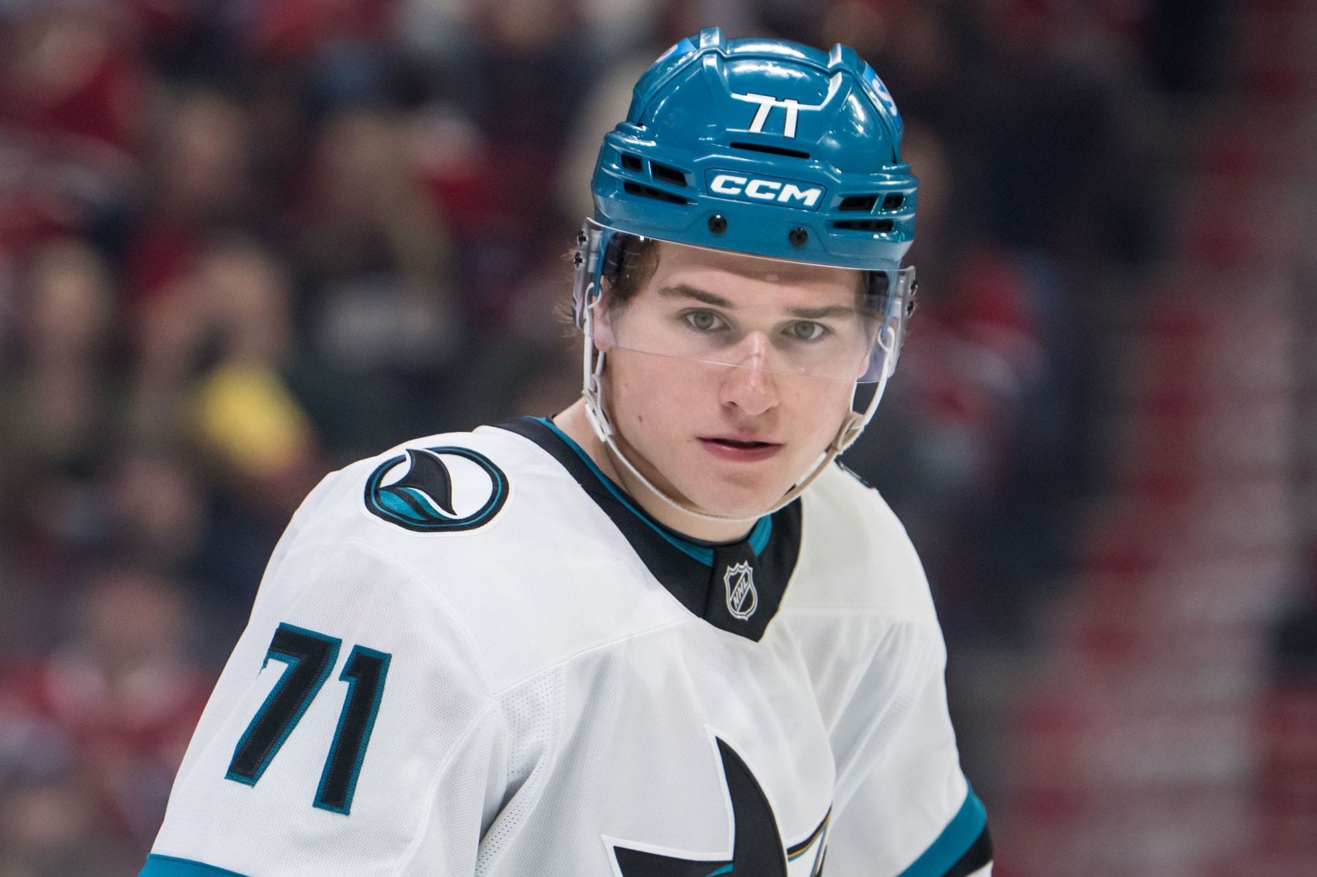 "Bro hates it in San Jose", "So dramatic": NHL fan react as red-headed Macklin Celebrini breaks stick in frustration after Sharks 7-4 loss to Senators