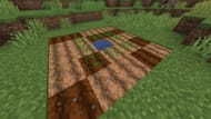 Hydration is extremely important for growing most crops quickly (Image via Mojang Studios || Sportskeeda)