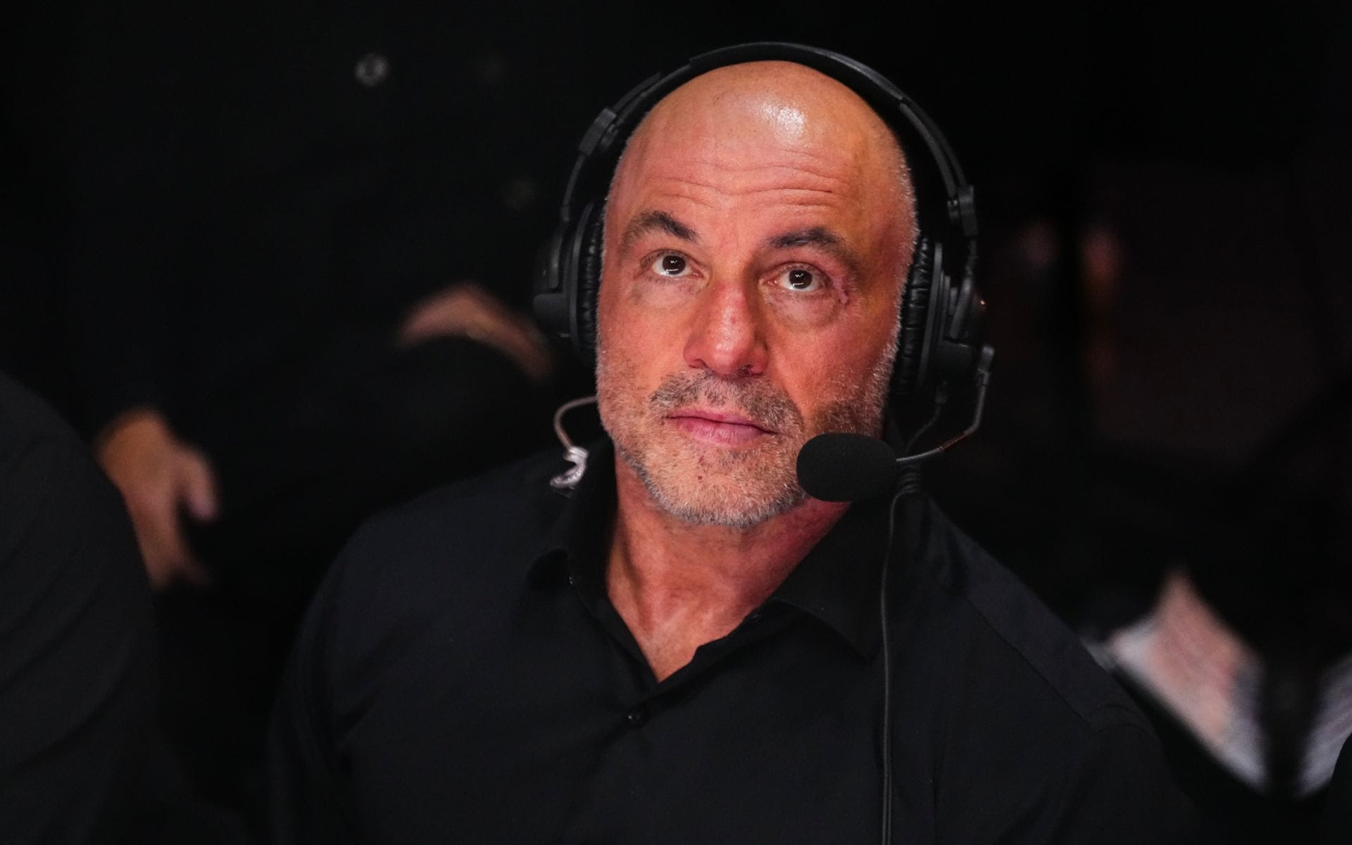 "Spice that card up, baby" - Joe Rogan proposes exciting title fight for UFC White House card 