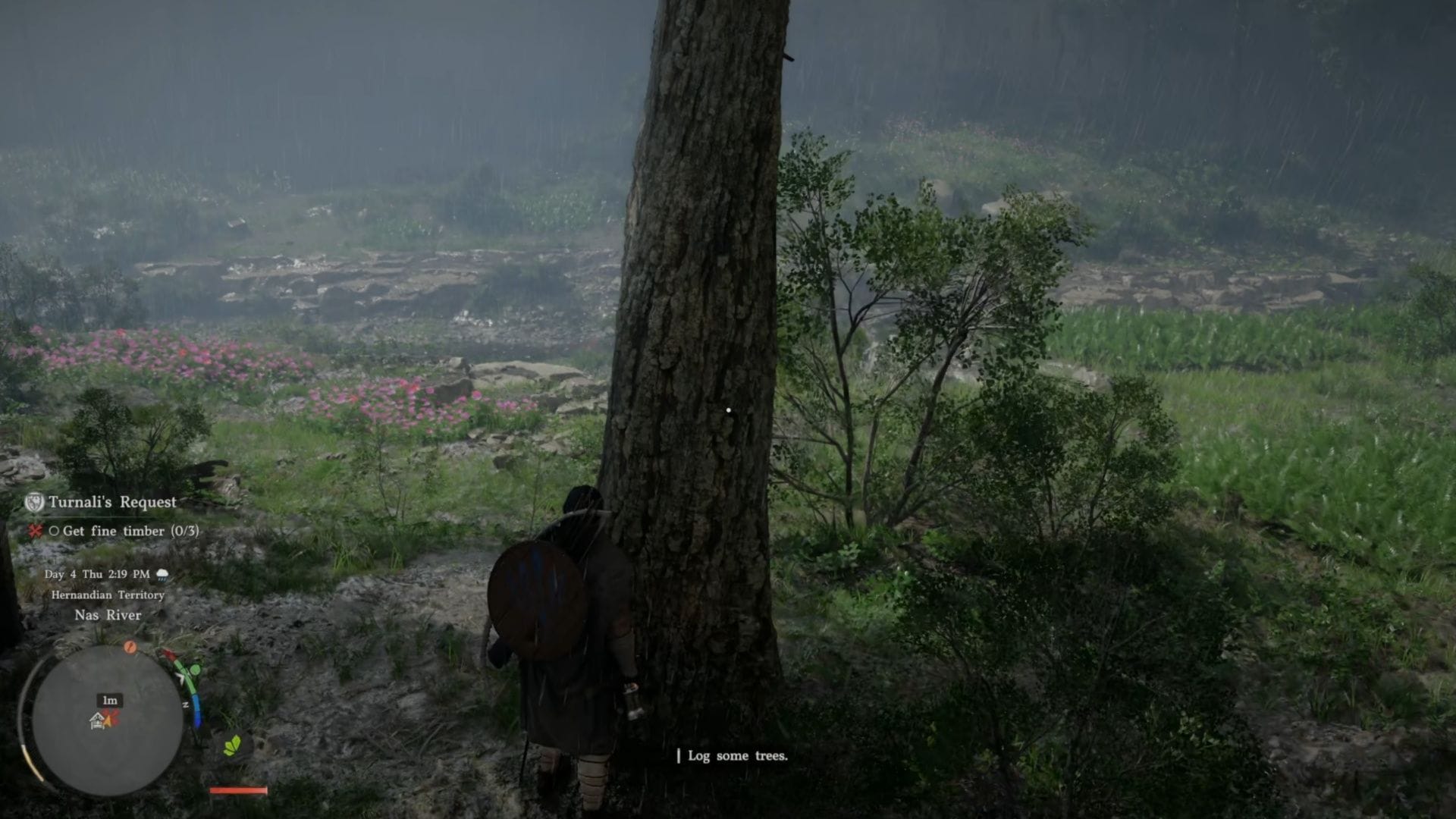 How to complete Turnali's Request in Crimson Desert