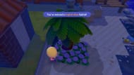 Making theTropical Vibes habitat (Image via The Pokemon Company || YouTube/@Sirloin1)