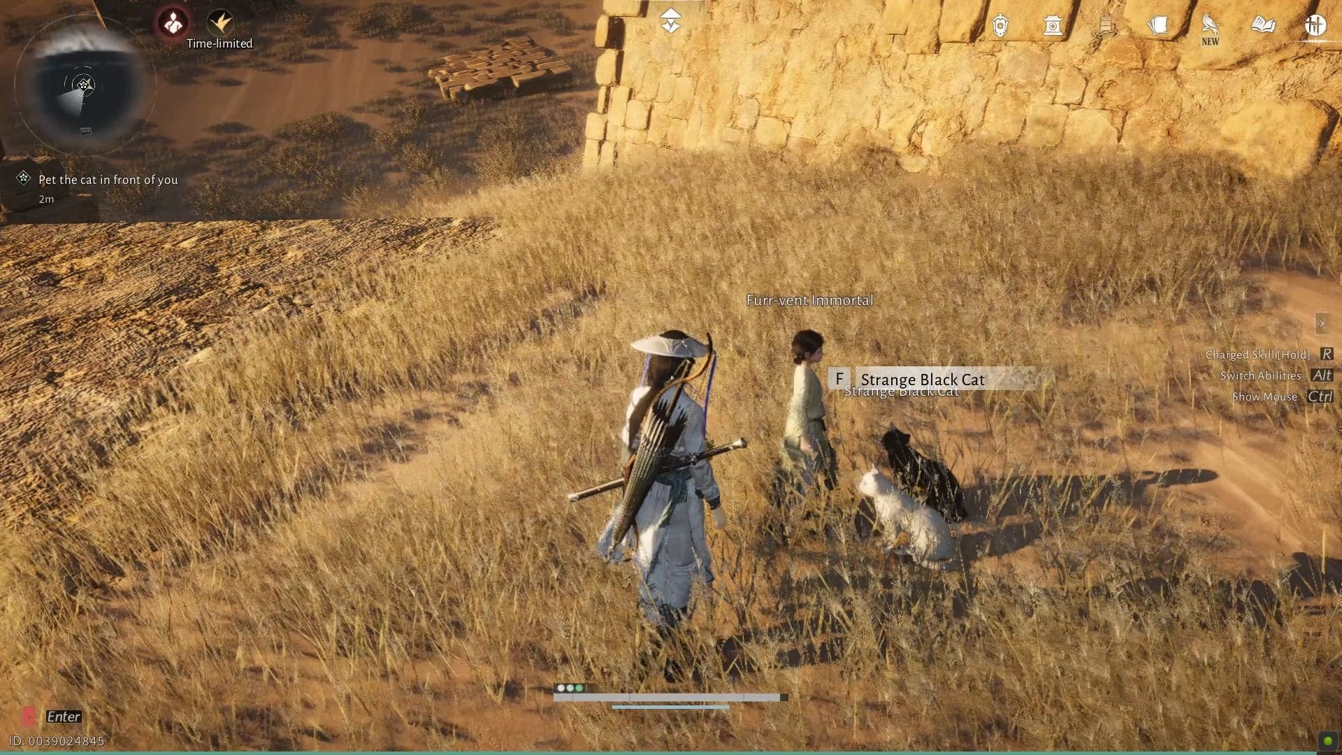 Pet the strange black cat (Image via NetEase)