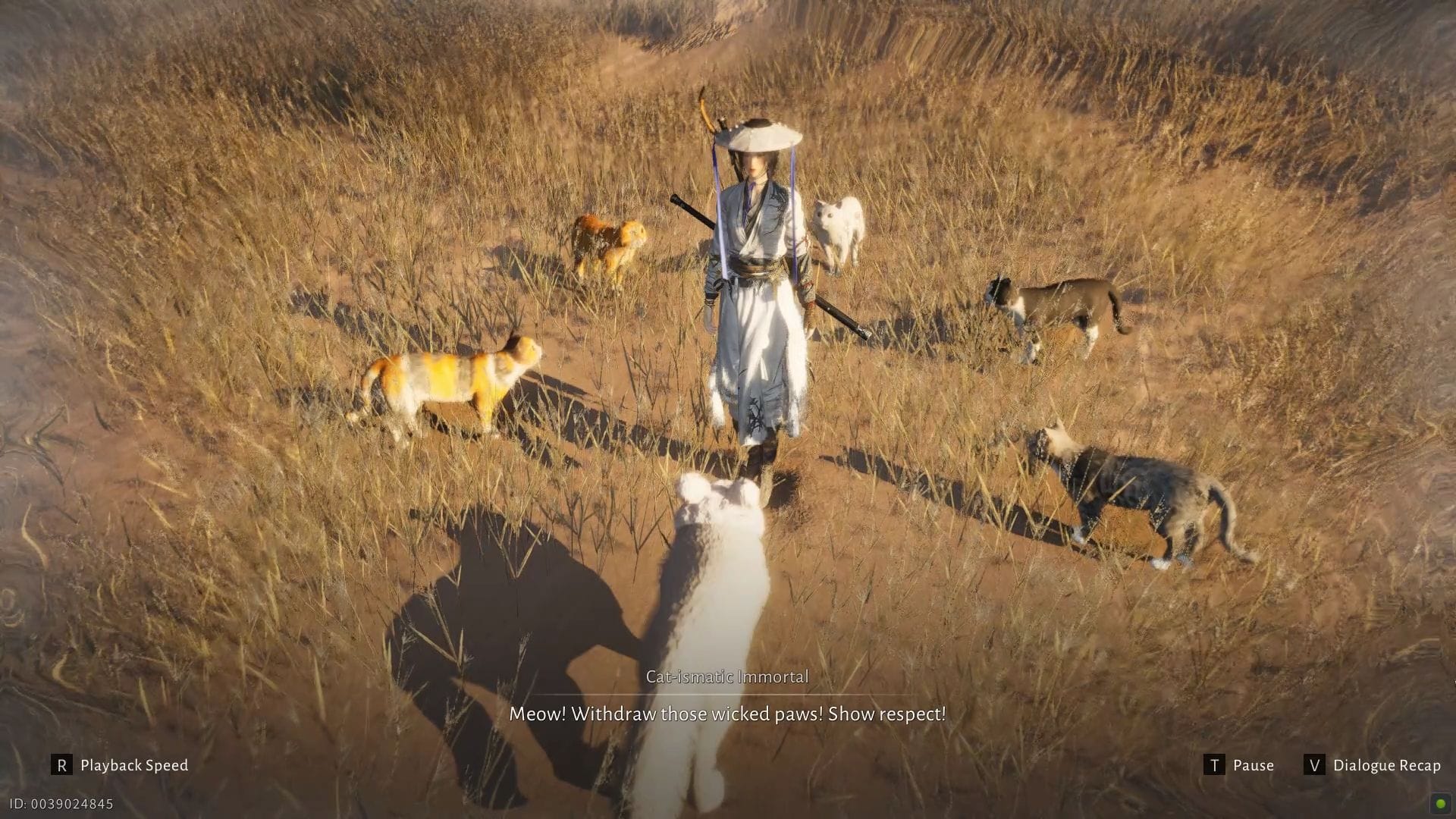 Speak the biggest cat (Image via NetEase)