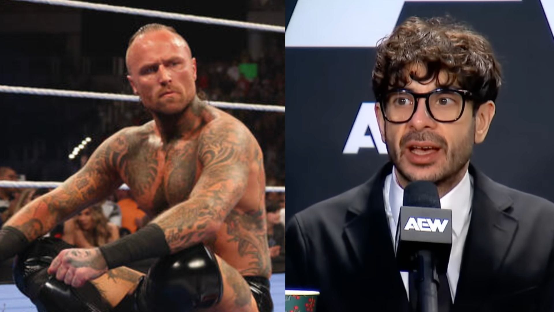 2 Recently Released WWE Stars Tony Khan Should Sign To AEW, And 1 He Should Stay Away From