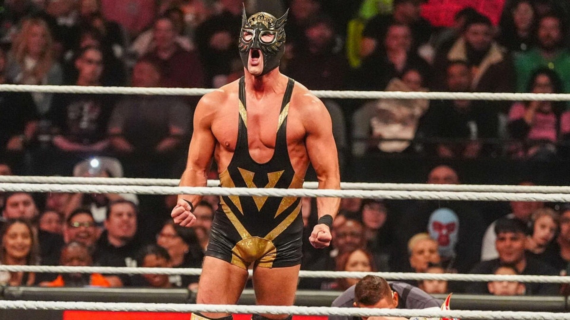 Mask vs Mask: But not in WWE as planned! El Grande Americano FURIOUS