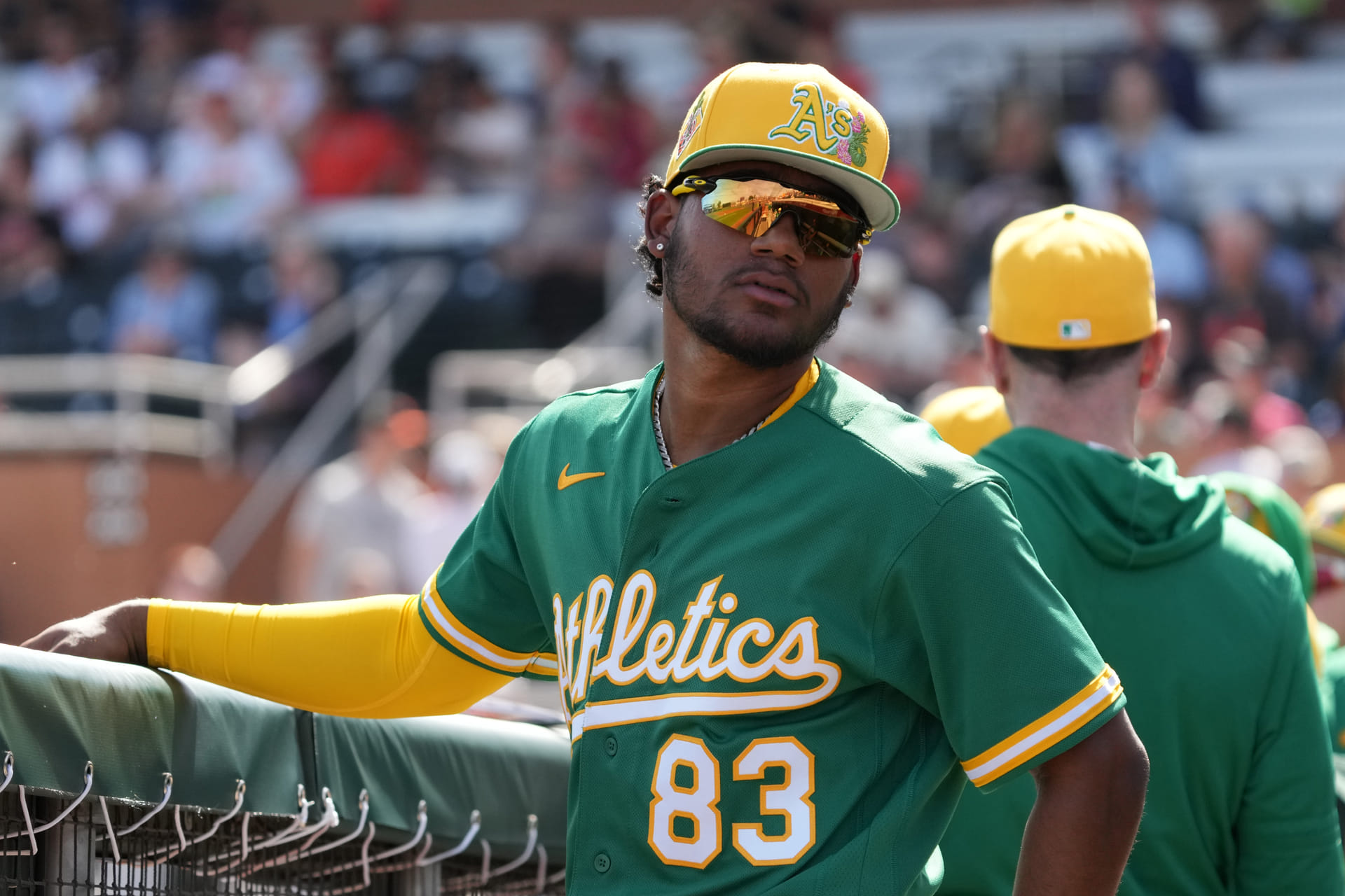 Leo De Vries' sister Erica poses in pink bikini against sunset backdrop