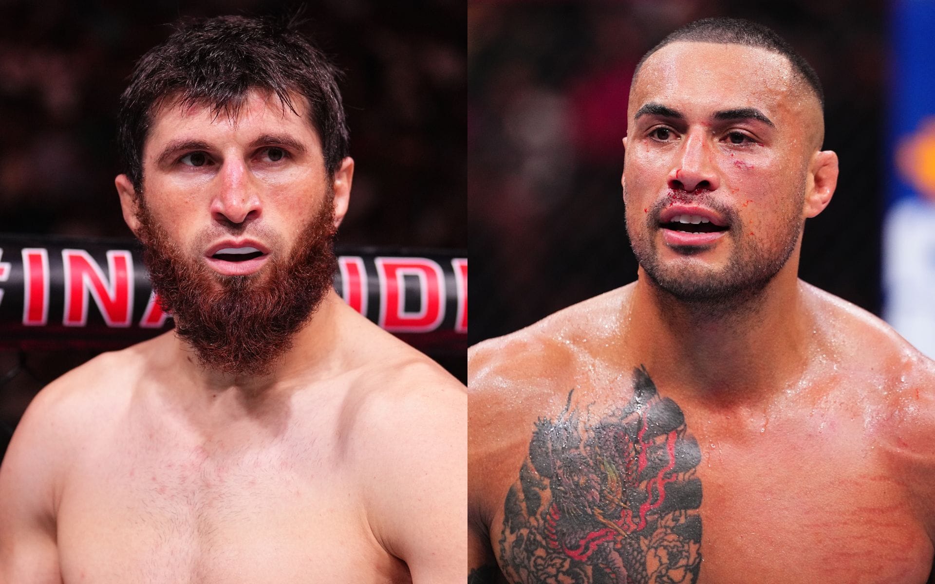 Magomed Ankalaev drops three-word reaction after Carlos Ulberg claims the Russian is "deserving" of title shot 