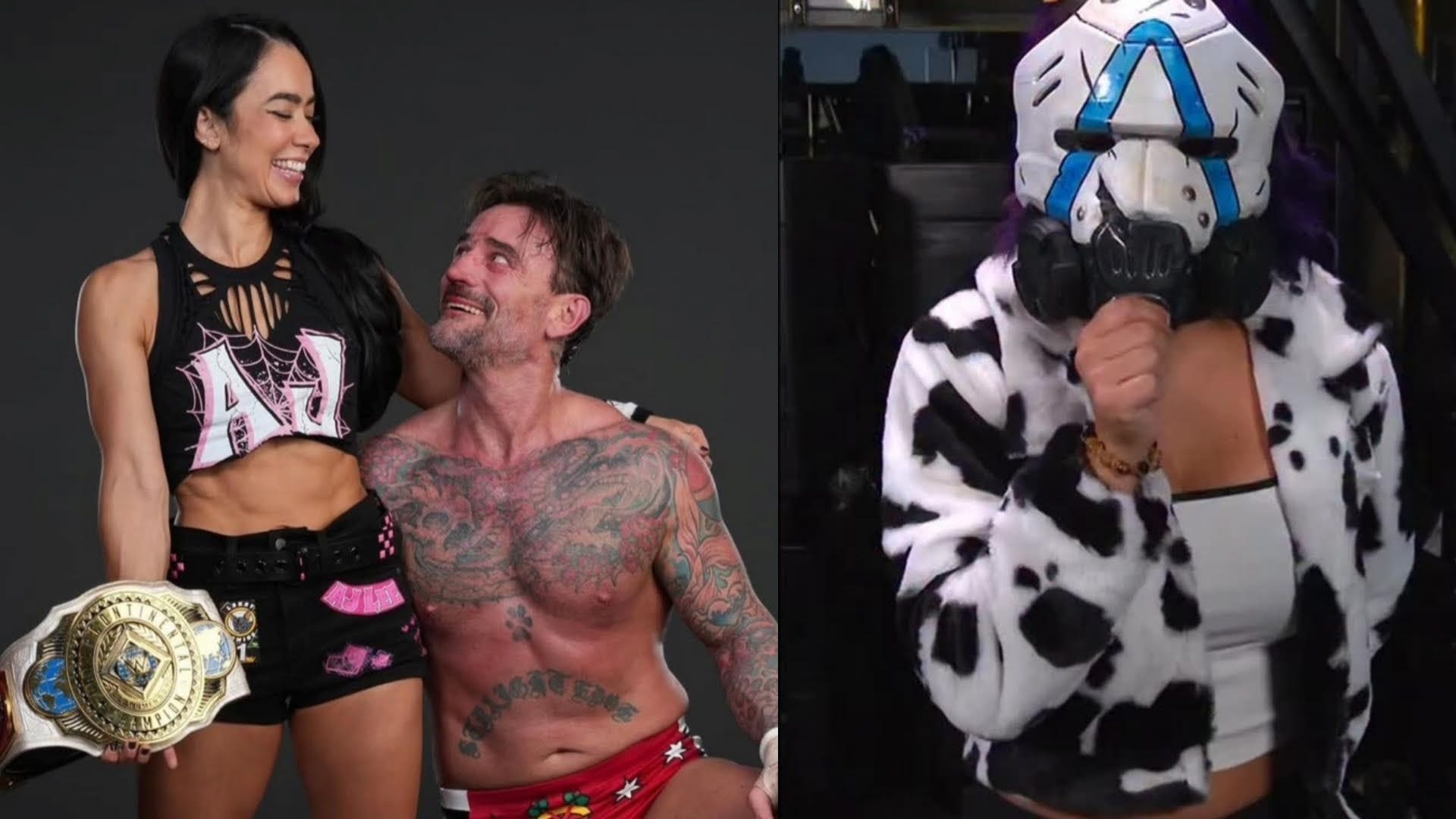 AJ Lee says she and CM Punk share 36-year-old WWE star as their 'work wife'