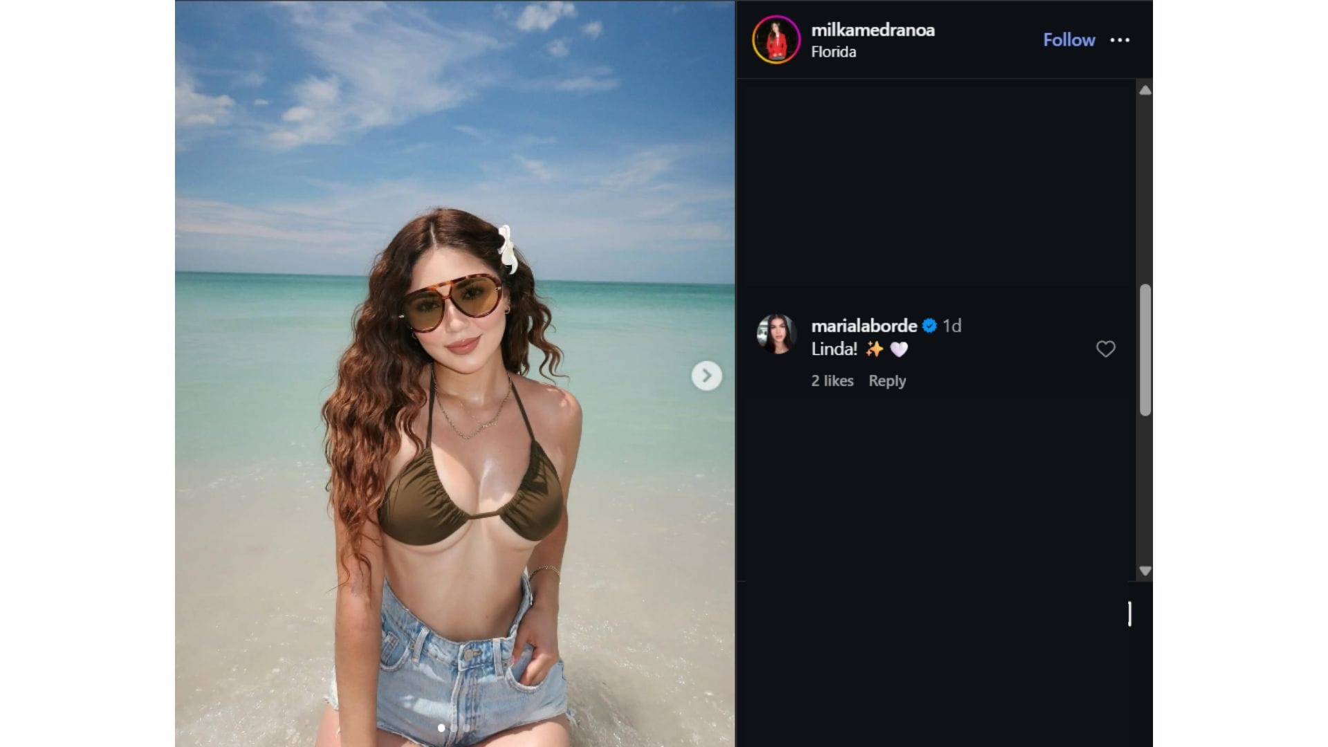 Ronald Acuna Jr.'s wife Maria's comment on Jonathan Aranda's wife Milka's post (Image via Instagram/@milkamedranoa)