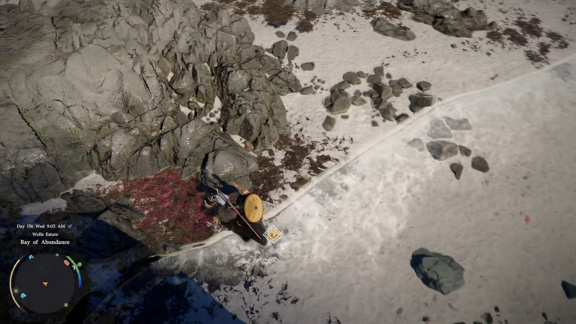 Best Red Seaweed farming locations in Crimson Desert